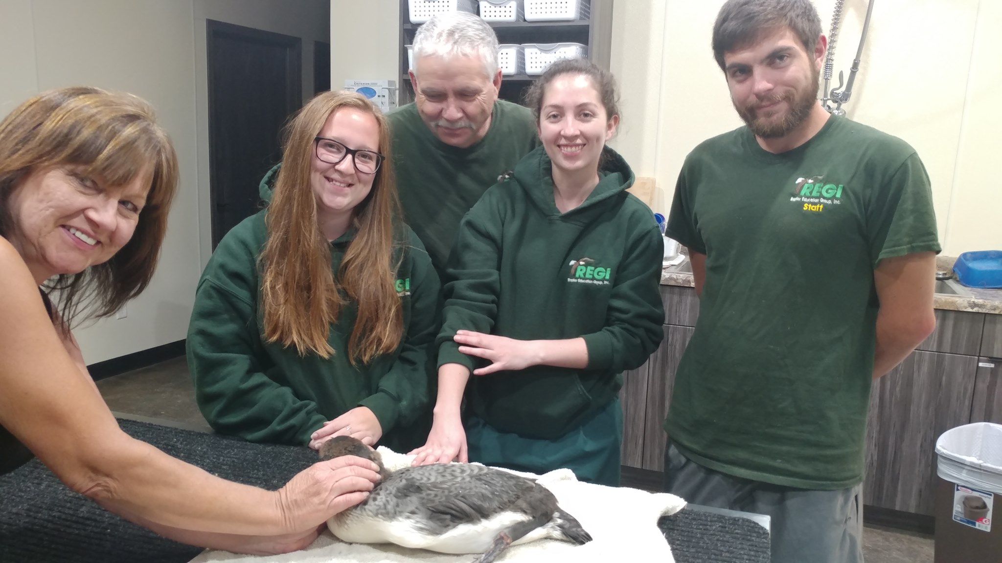Thanks to our great loon team Linda Kevin GrenzerKevin Grenzer and Dr Laura Laura Sánchez as well as interns Bailee Ridenbaugh and Christa Gallopoulos.