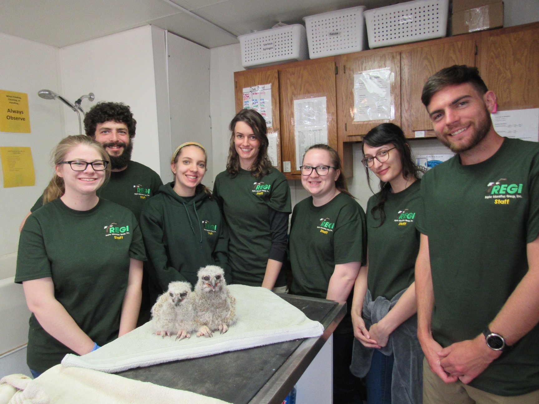 Our summer interns when two of the owlets when they arrived. Wow their shirts were still all clean! We sure miss each and every one of our summer interns. — with Brenna DeNamur, Maggie Downing, Ashley Damhoff, Bailee Ridenbaugh, Christopher Ryan Pavlakovich and Brad Adam Baum.
