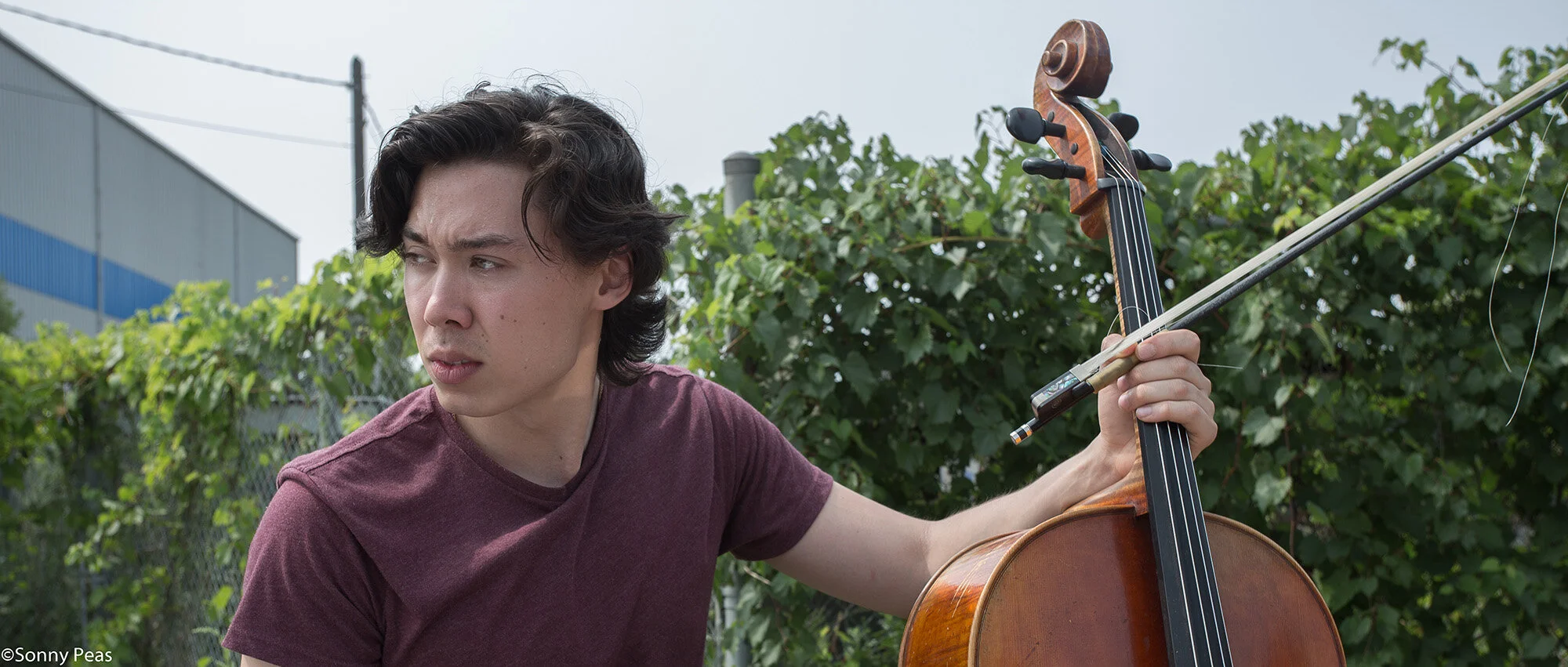 Cellos, crimes, capers, action!