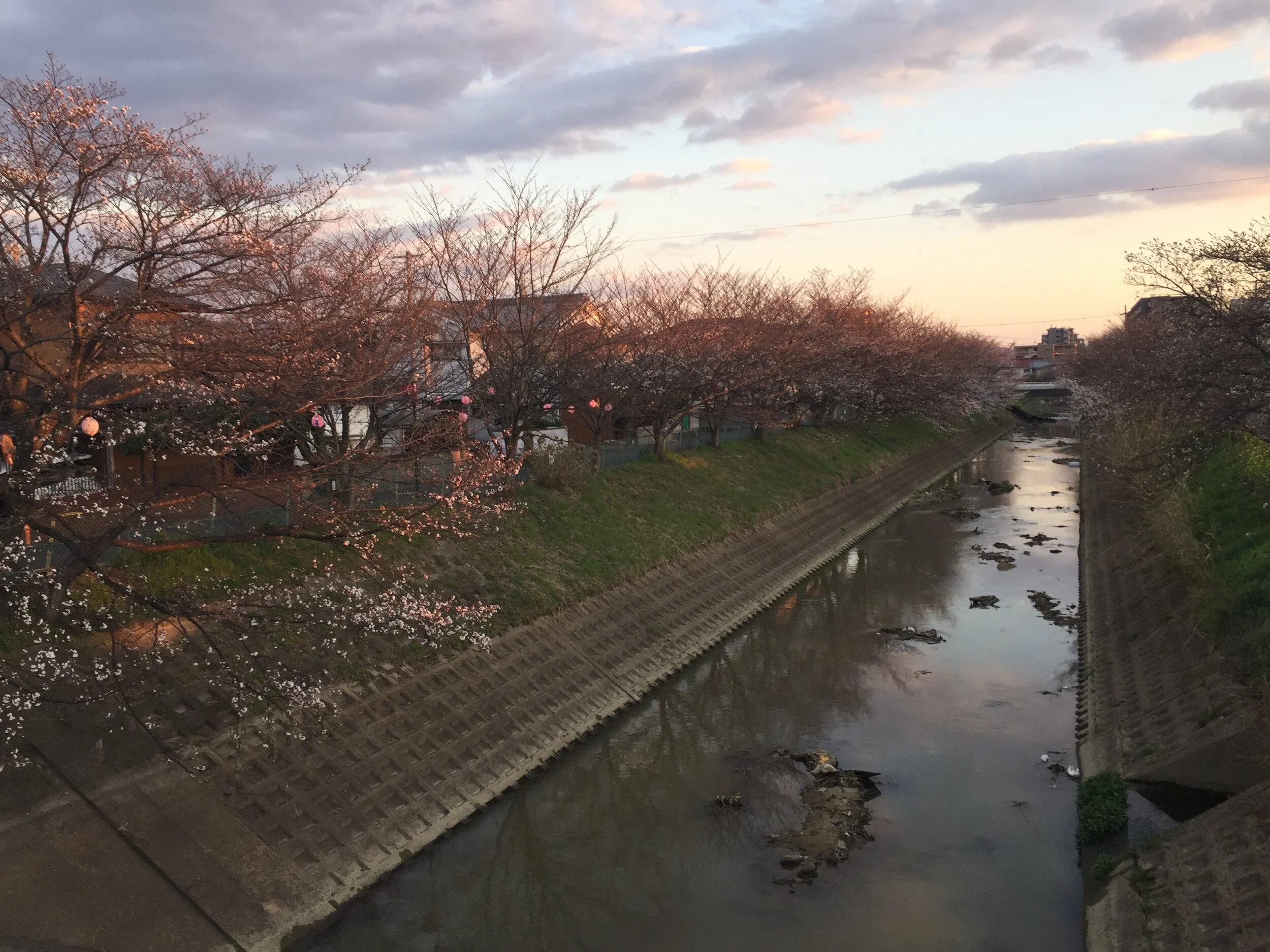 Garbage disposal in your local Japanese river