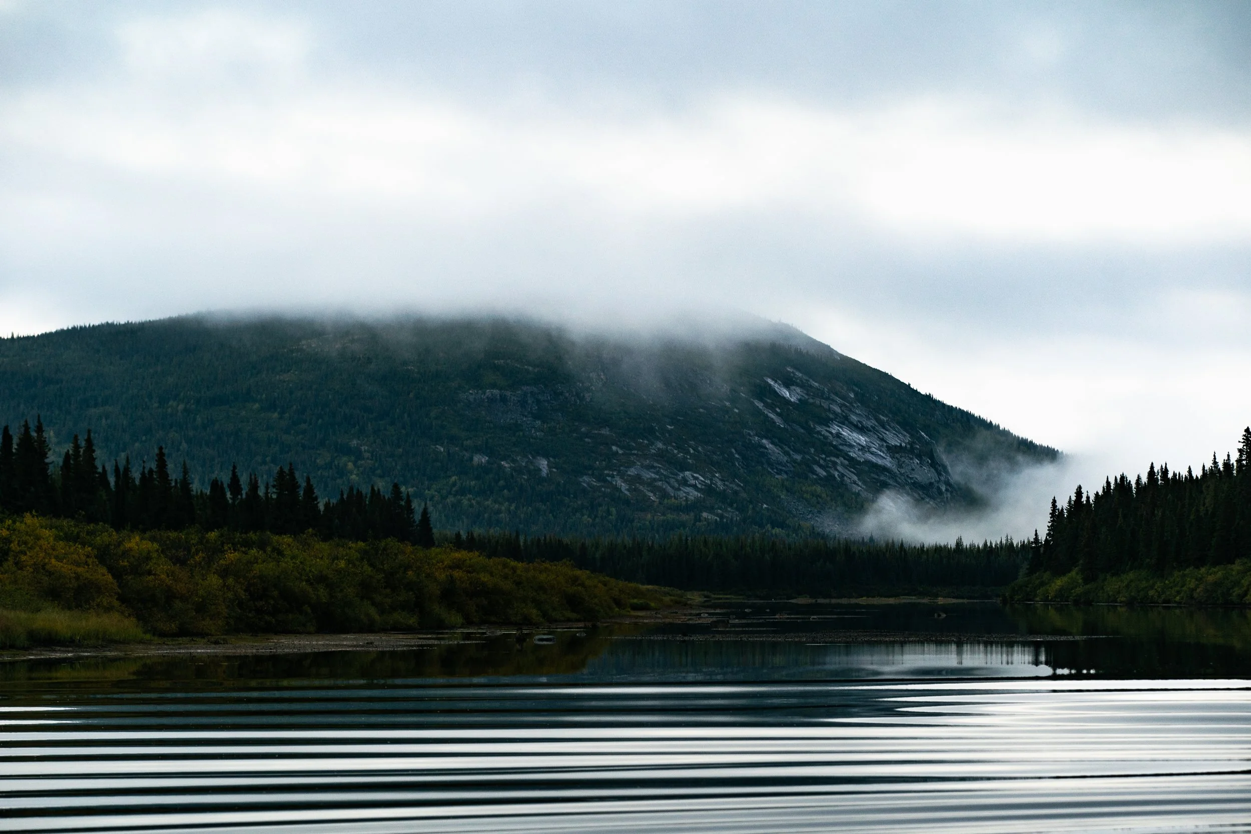 _DSC6677.jpg
