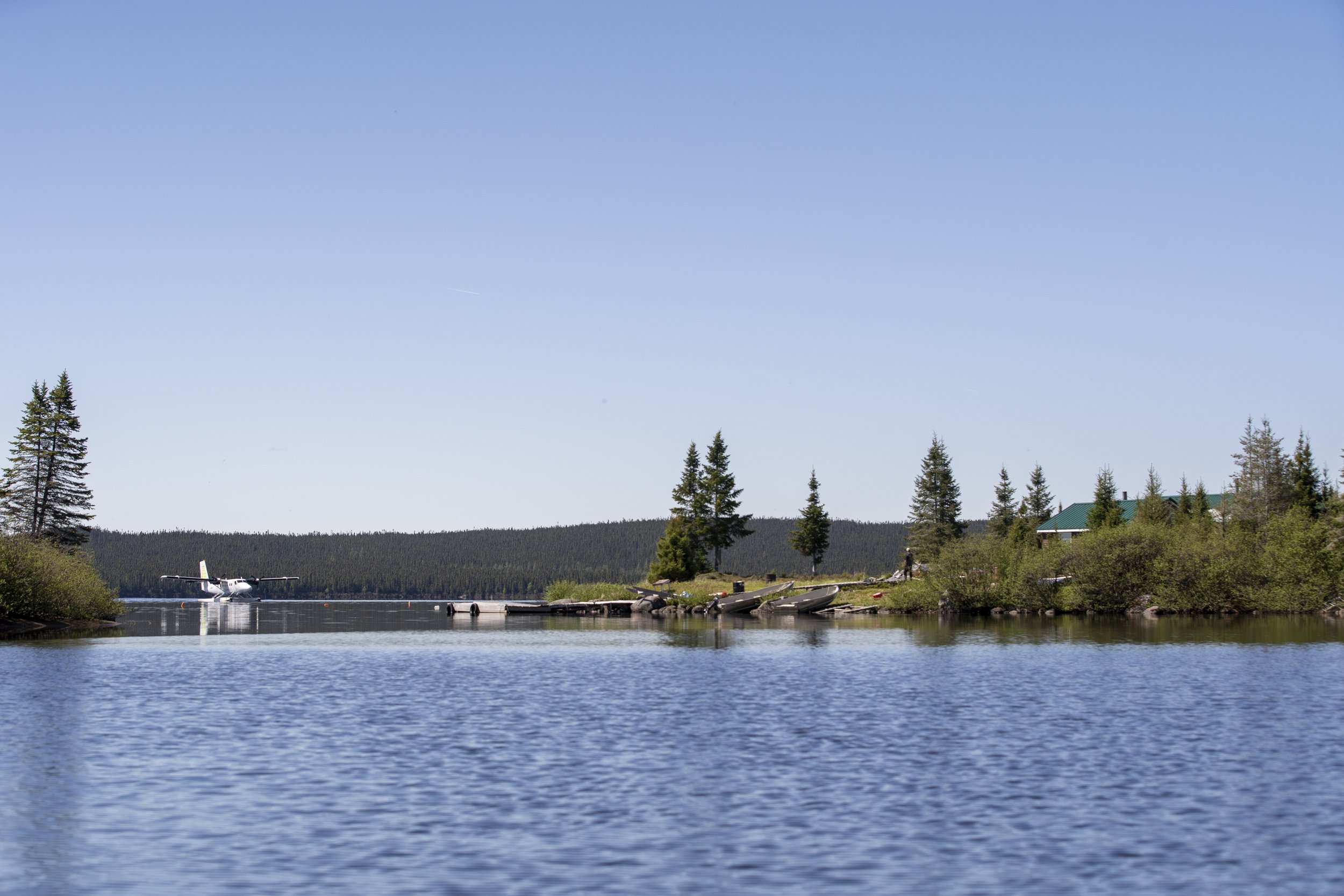 _DSC2091.jpg