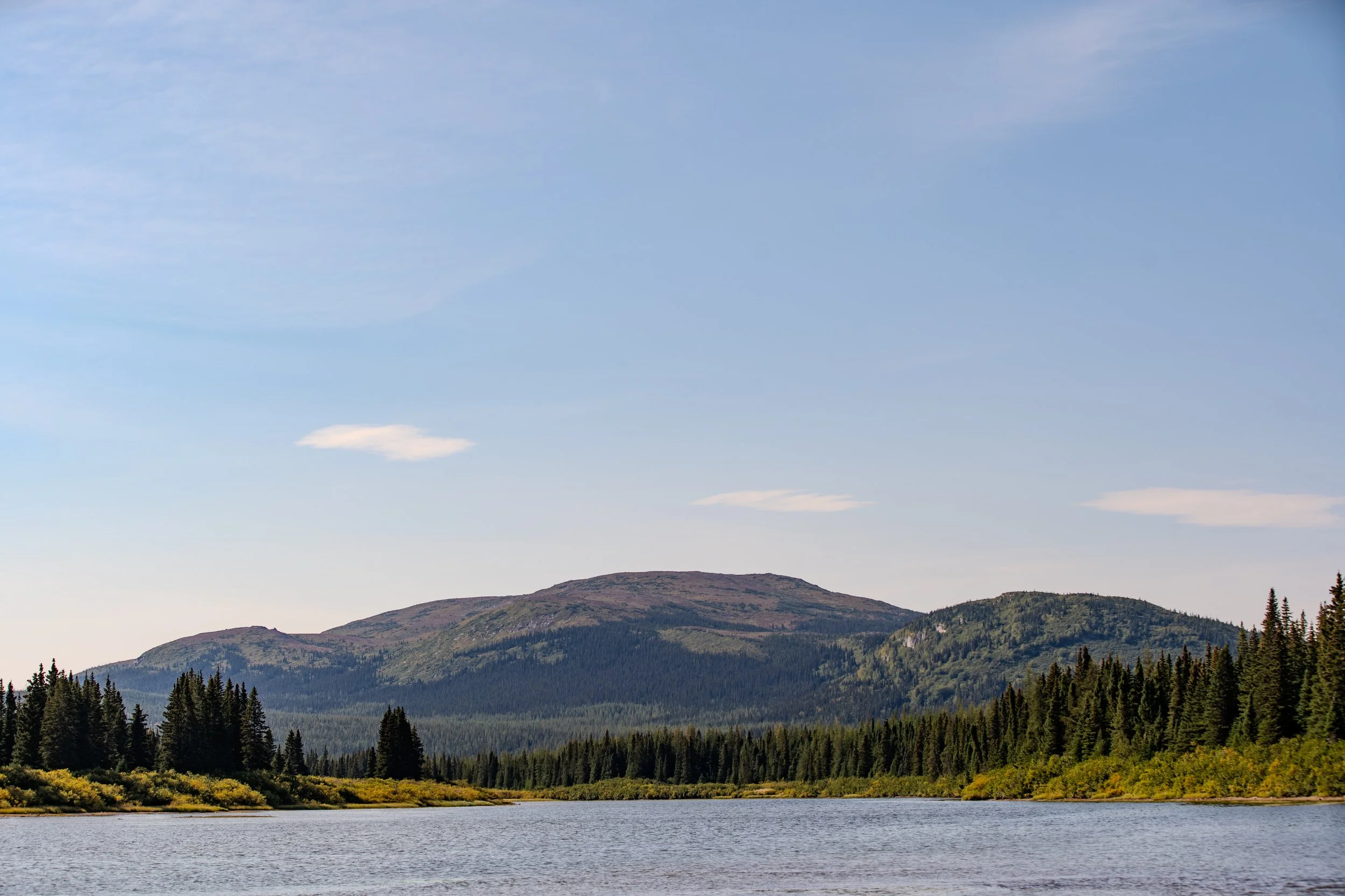 _DSC5585.jpg