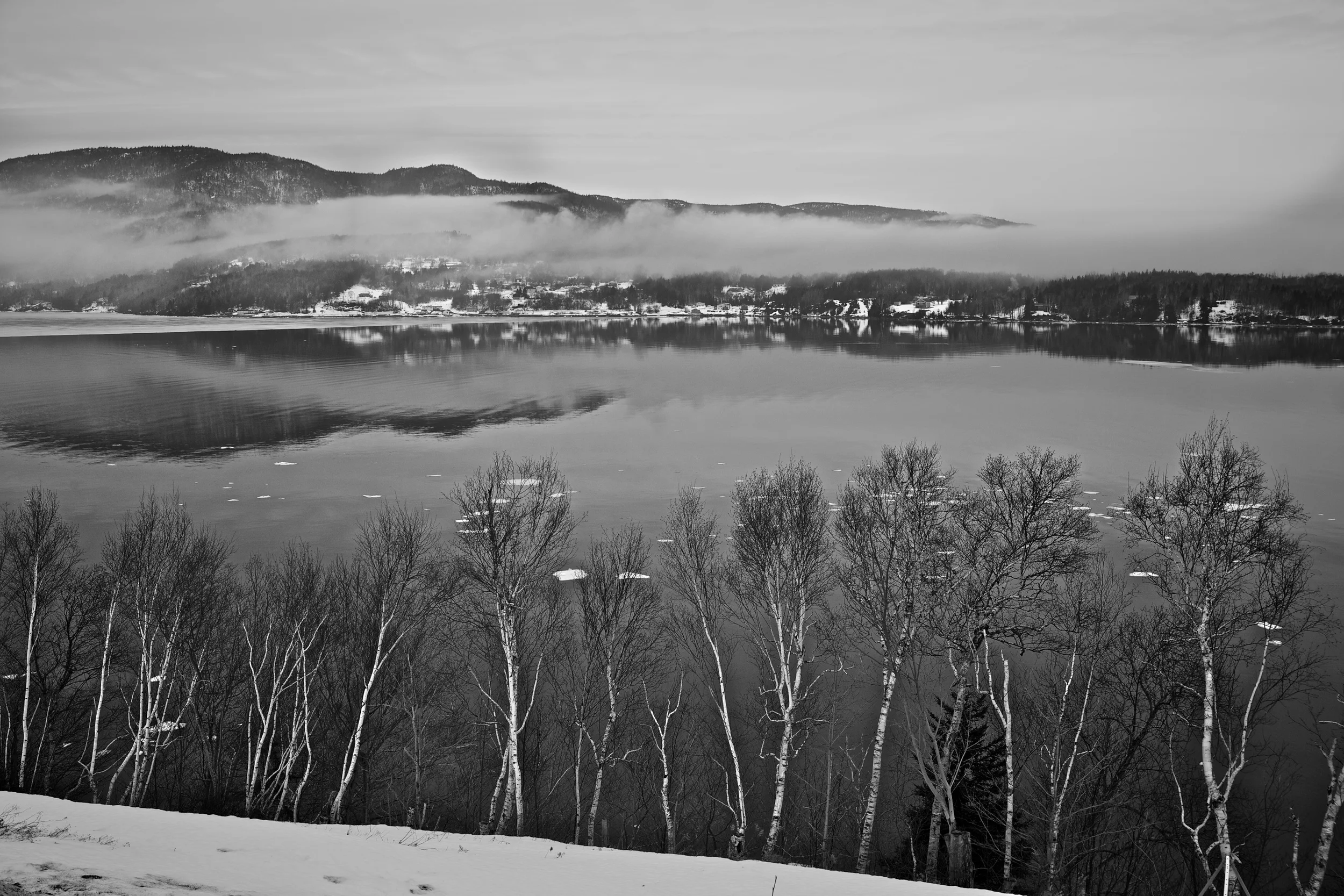 IMG_9553.jpg