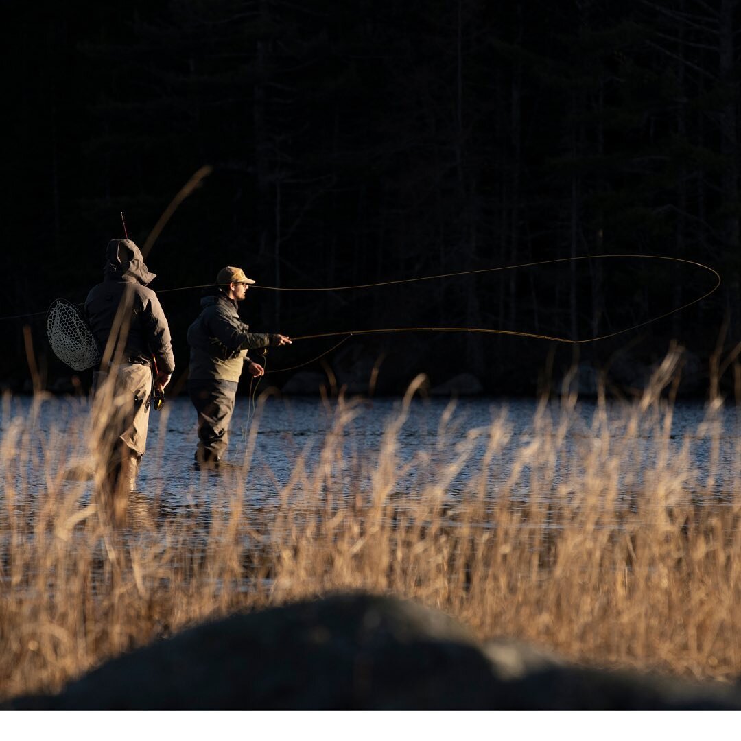 Do you daydream of mayflies in the offseason too? 
.
.
.
#redingtonsquad #riomaketheconnection #seewhatsoutthere #flyfishing #brooktrout #mayfly #flyfishingphotography #rioambassador