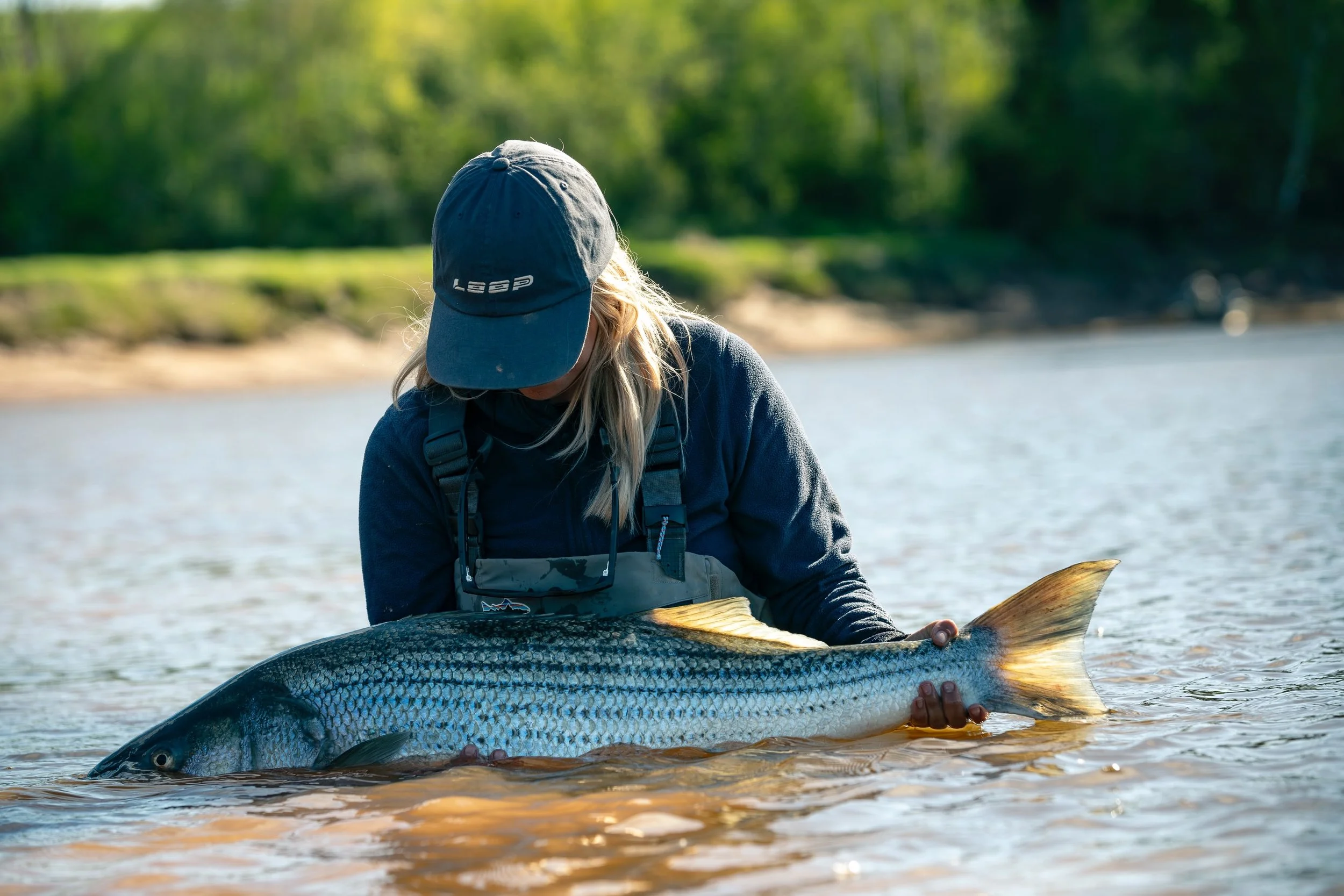Everyone looks better in Stripes&hellip;
A few captures from a great couple days spent chasing tides and striped bass with good friends, putting the new @looptackle￼ Trak 990 through its paces. 👌
.
📸 @scottysherin #looptackle
.
.
#stripedbass
