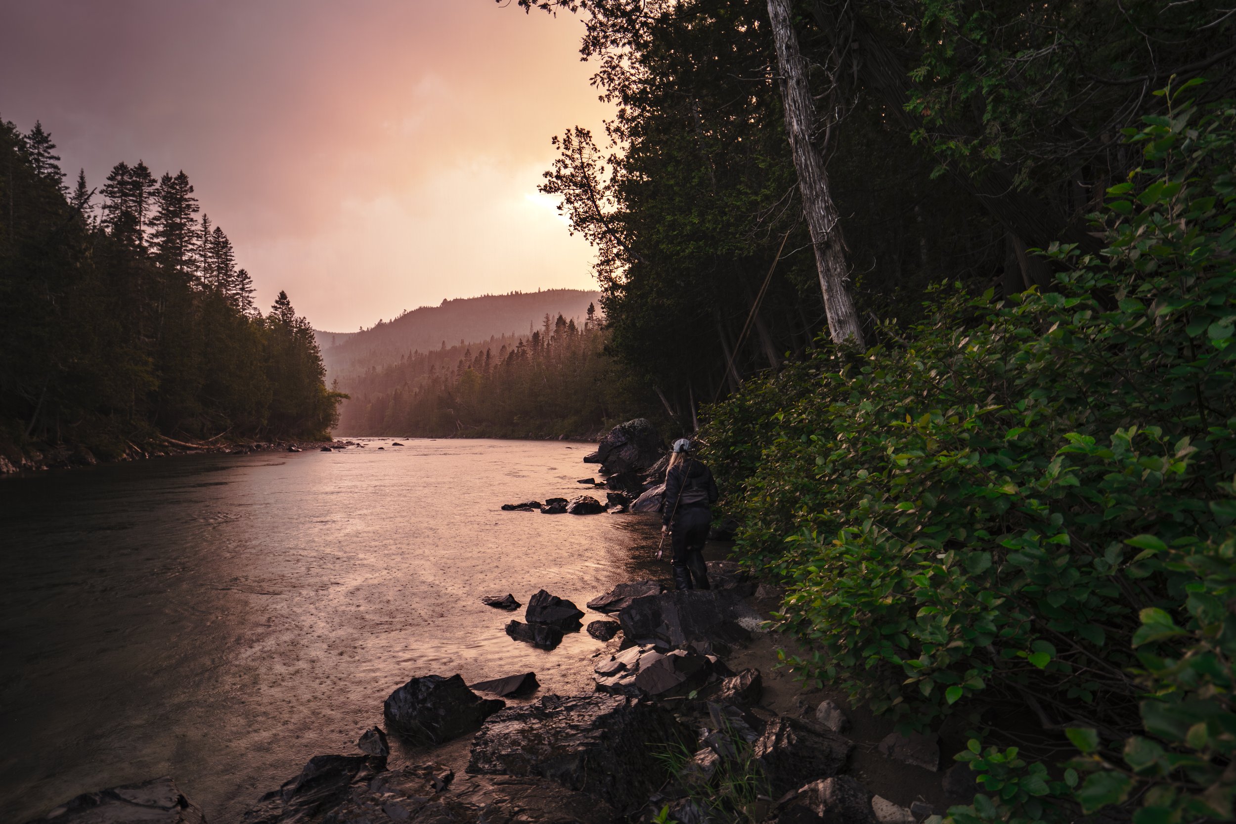_DSC9339.JPG