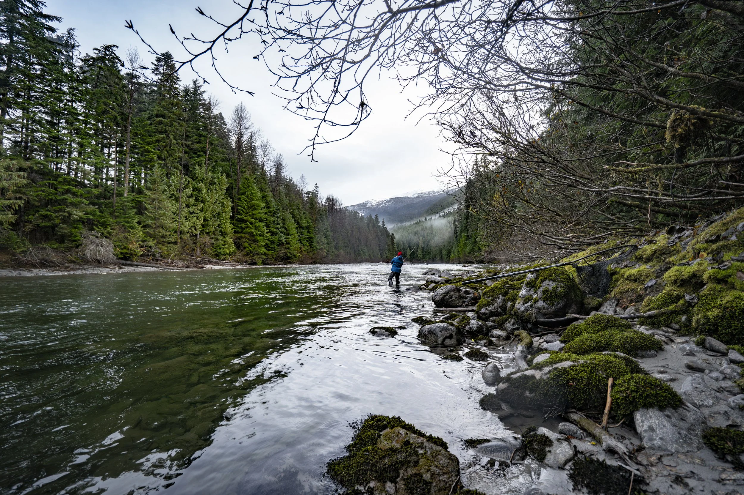 _DSC7556.jpg