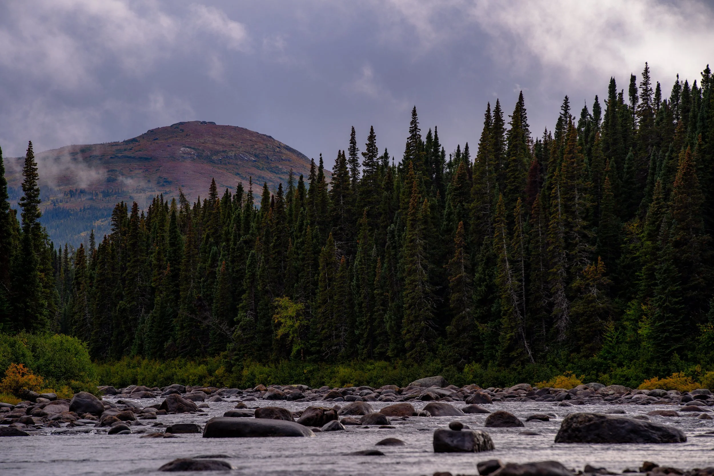 _DSC7149.jpg