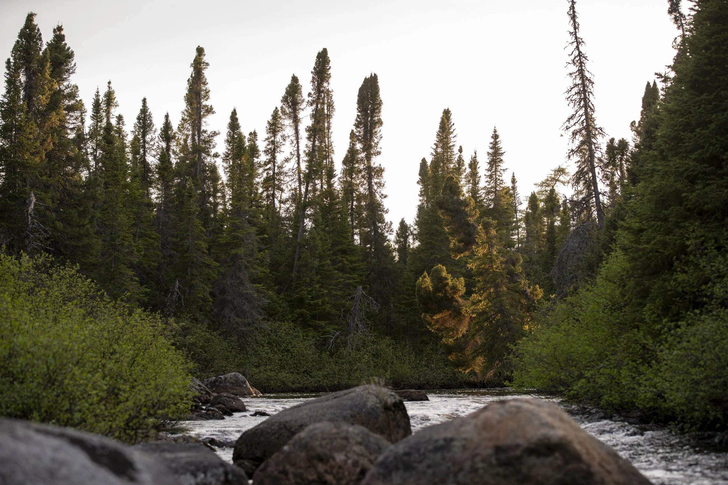 _DSC2874.jpg