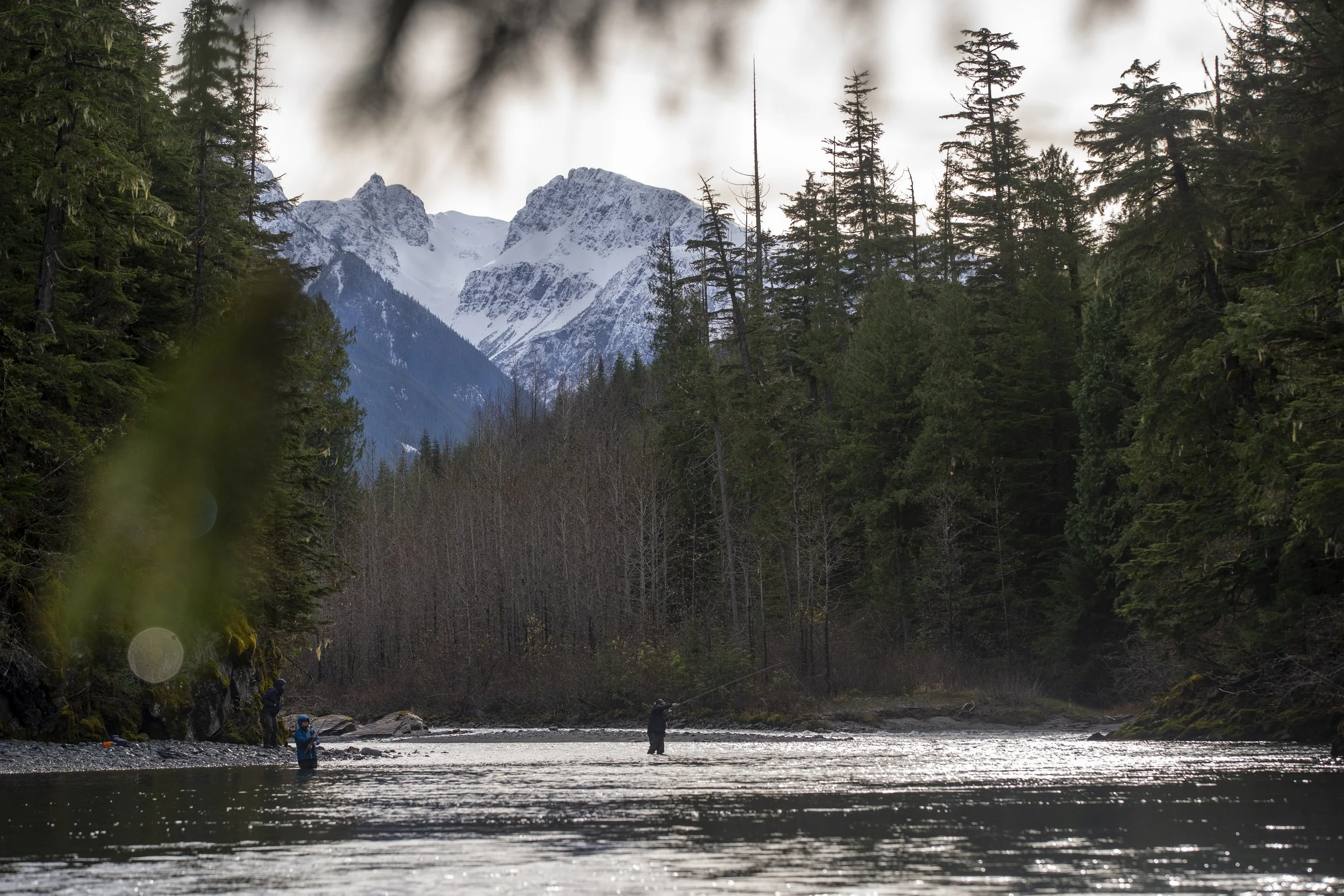 _DSC8175.jpg