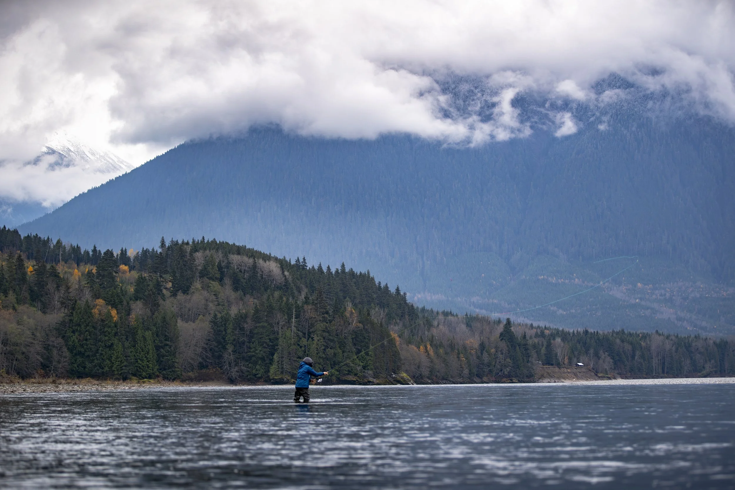 _DSC4323.jpg