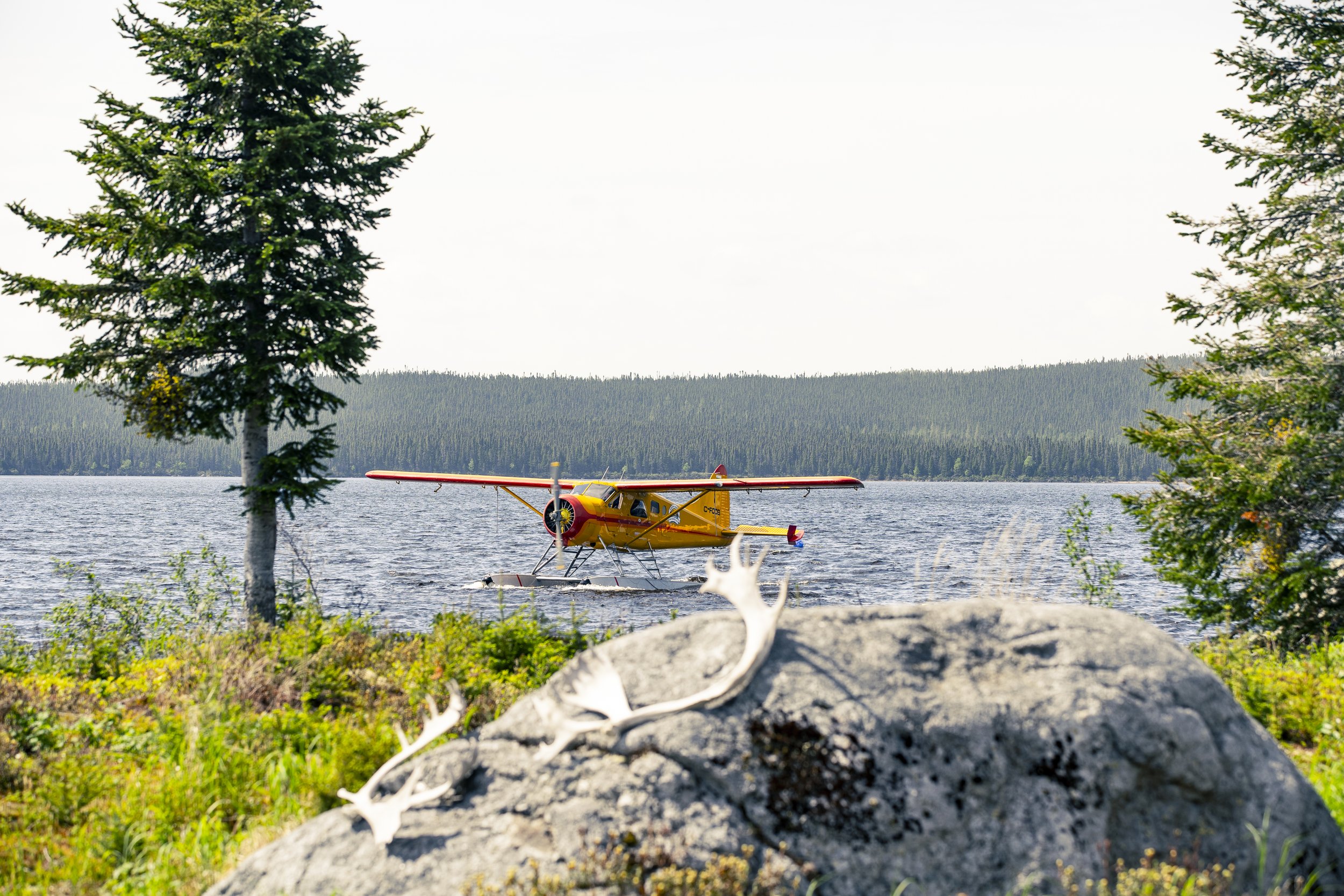 _DSC2942.jpg