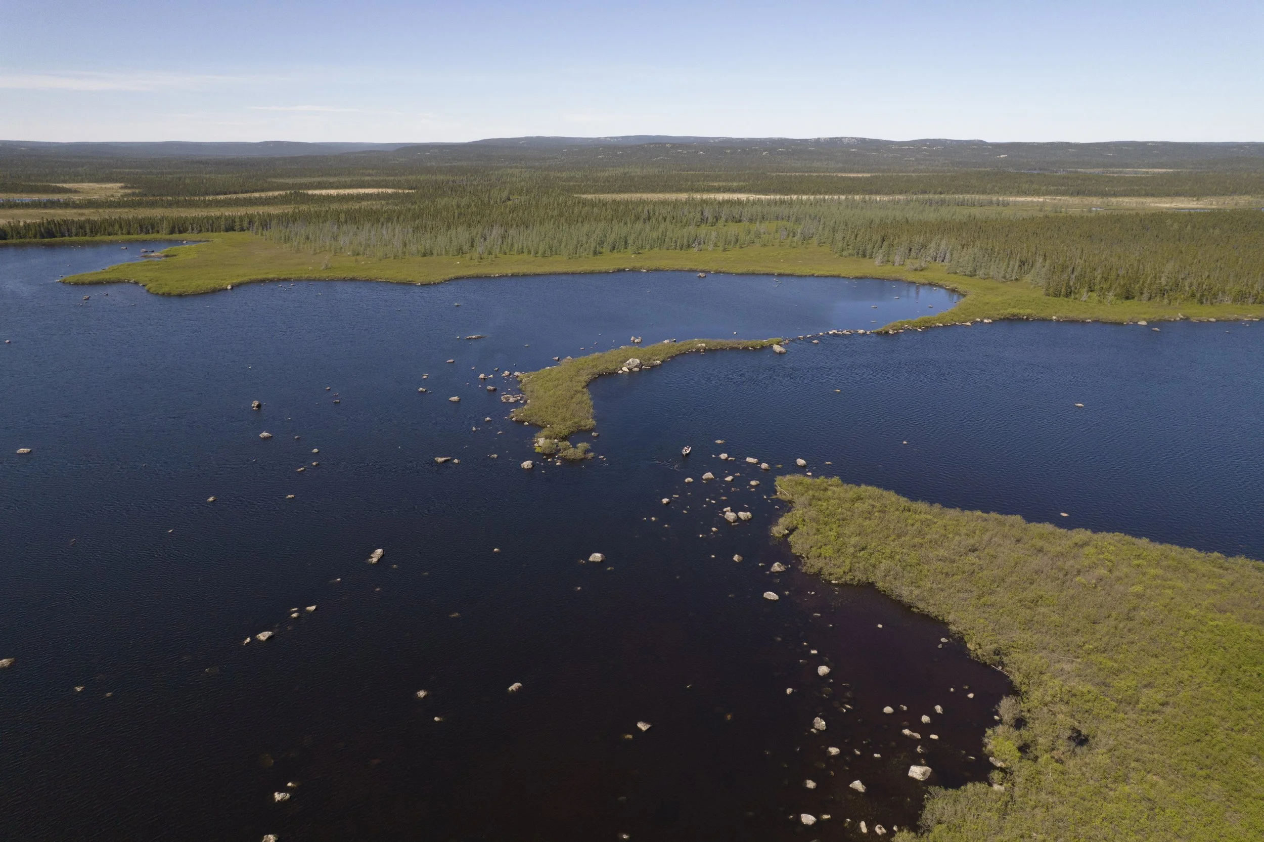 DJI_0065.jpg