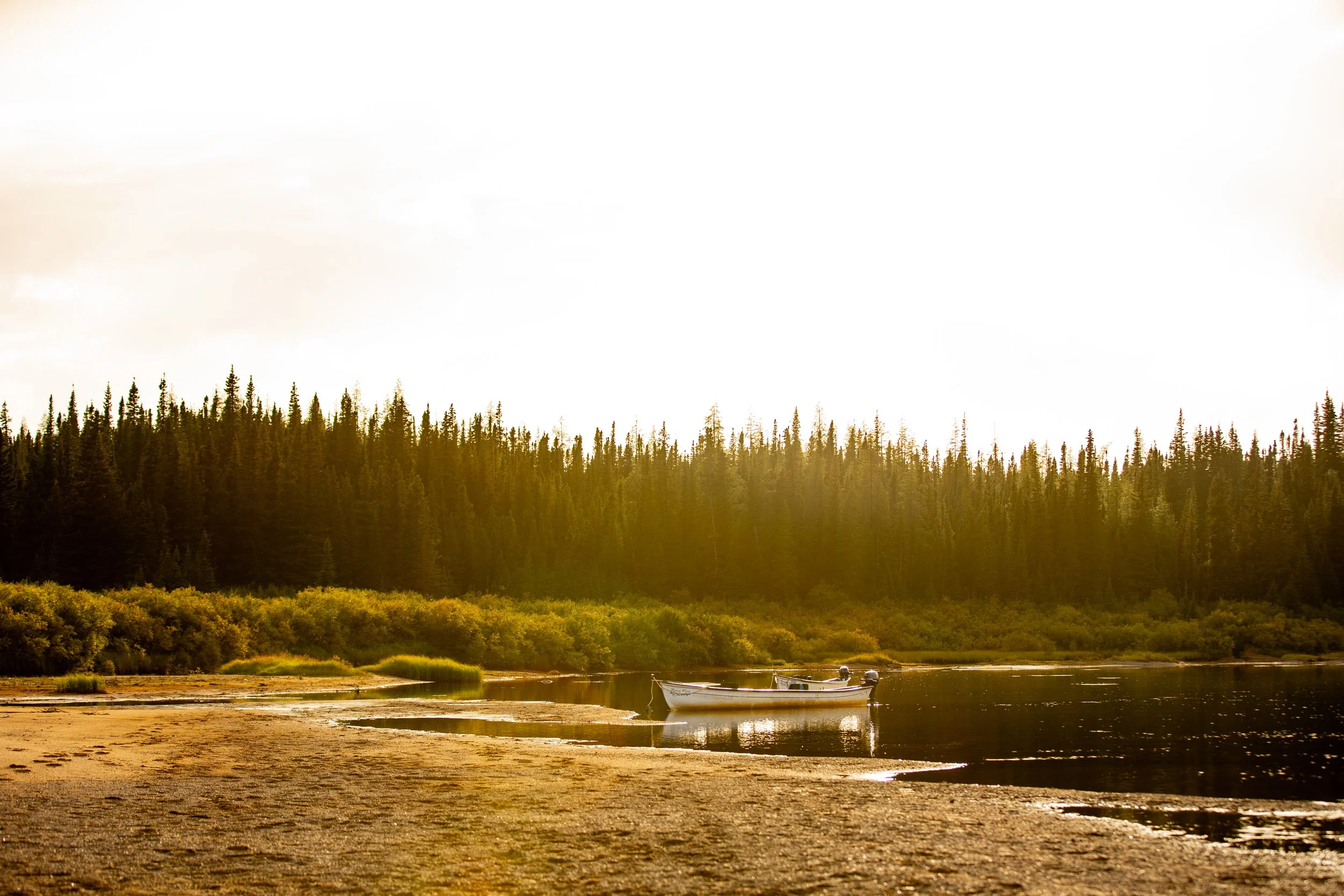 _DSC6596.jpg