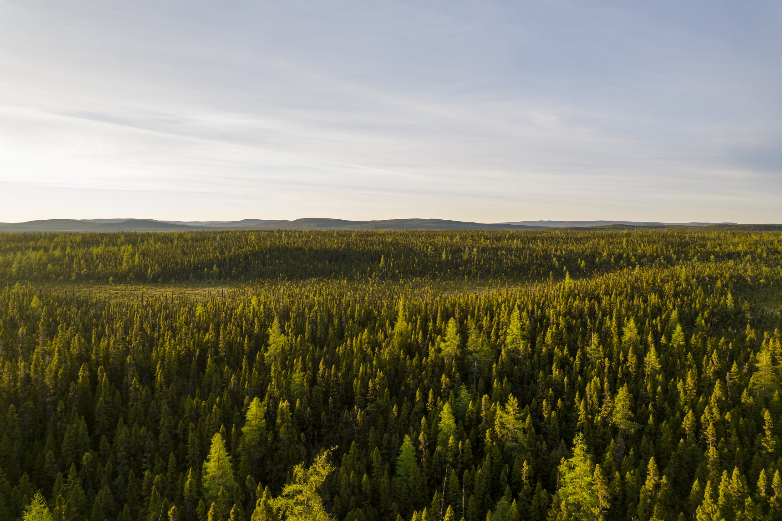 DJI_0083.jpg