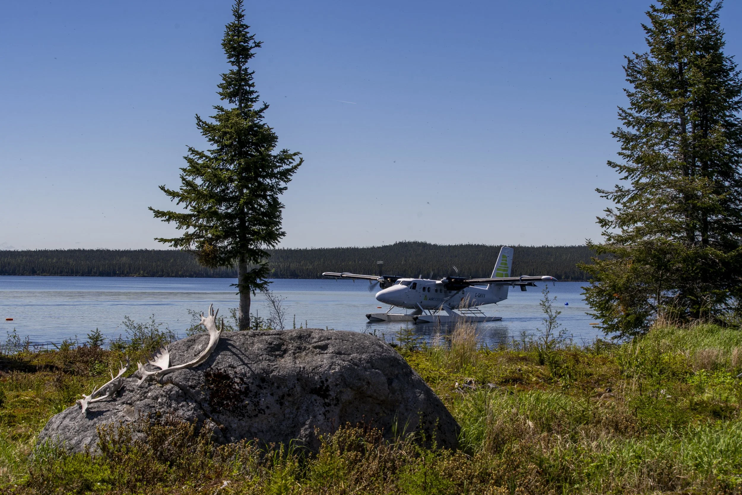 _DSC2106.jpg