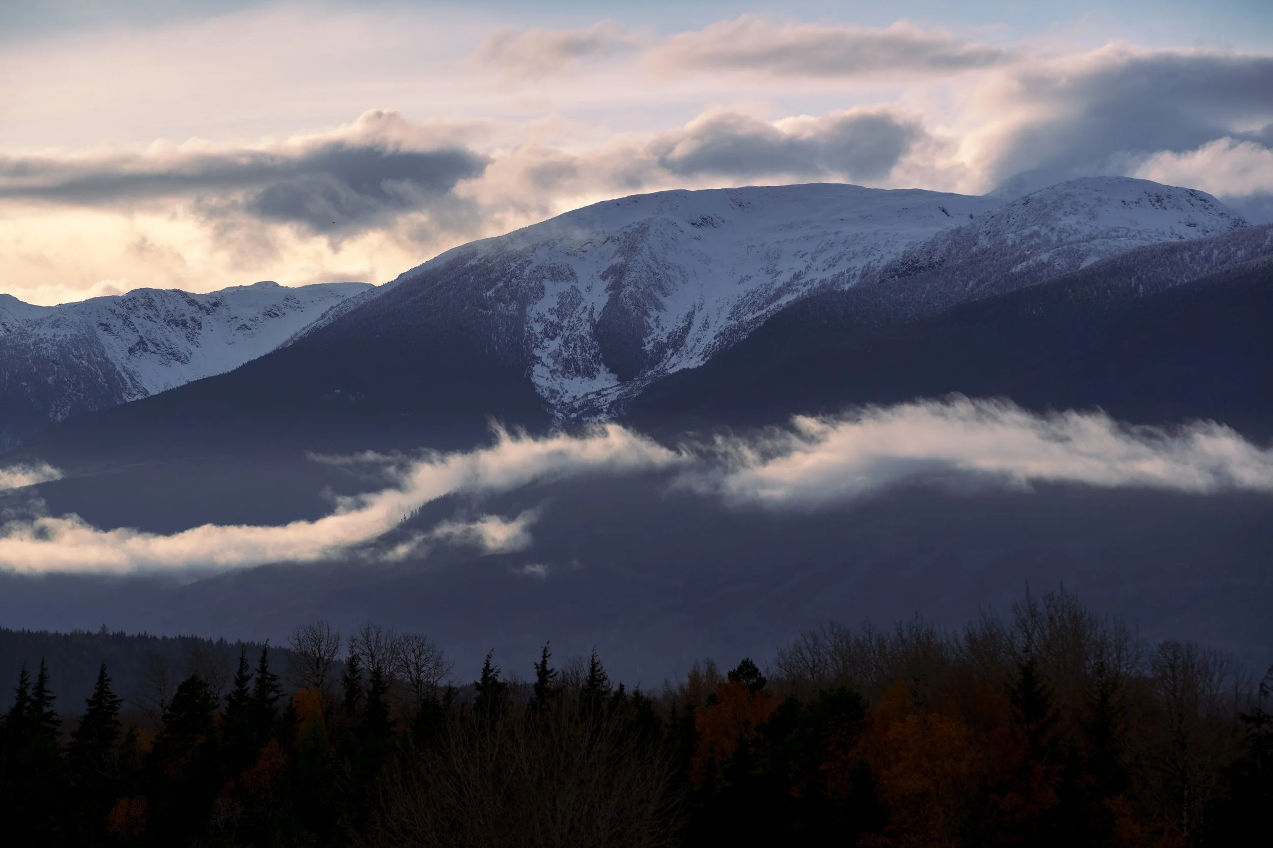 _DSC1955.jpg