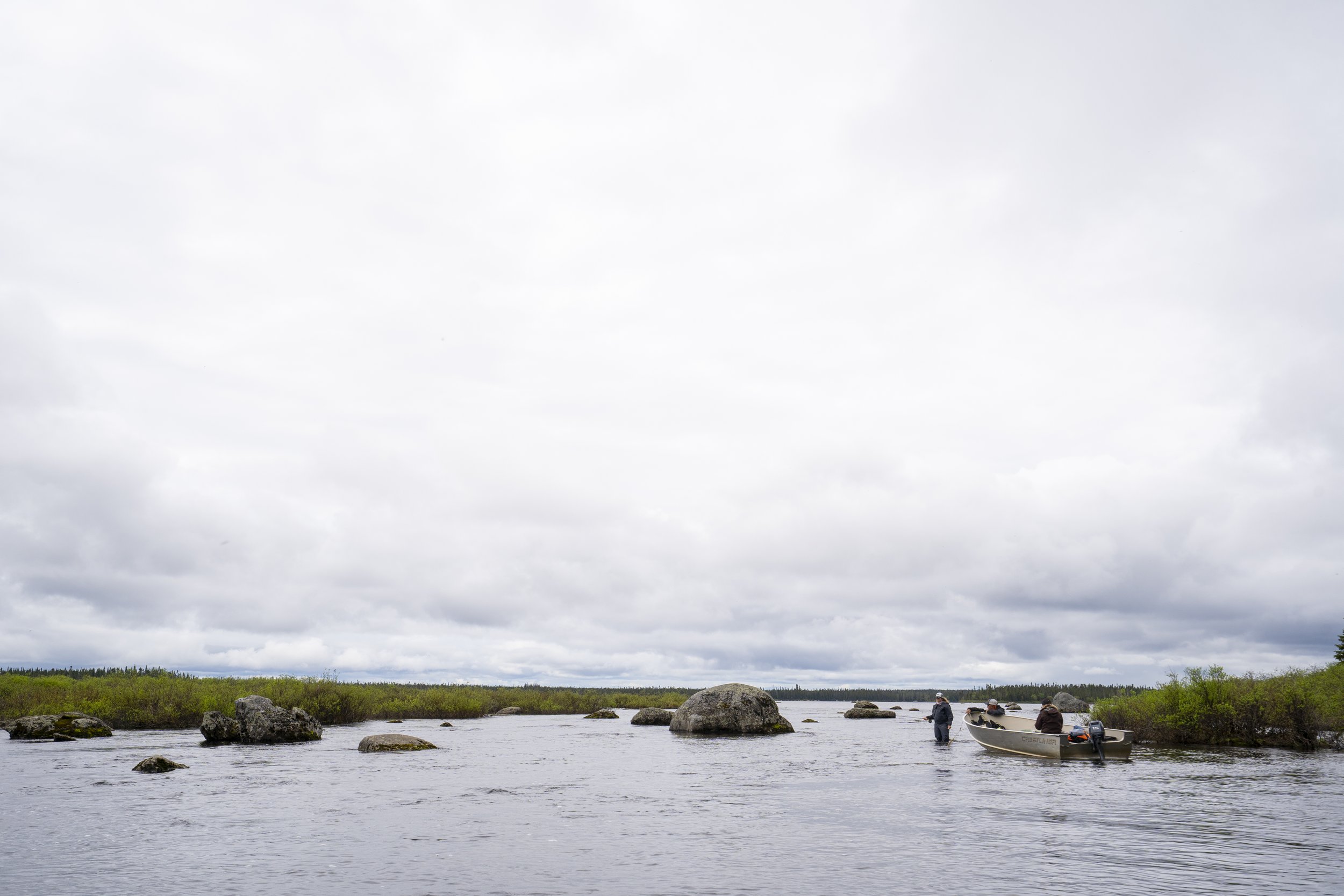 _DSC7805.jpg