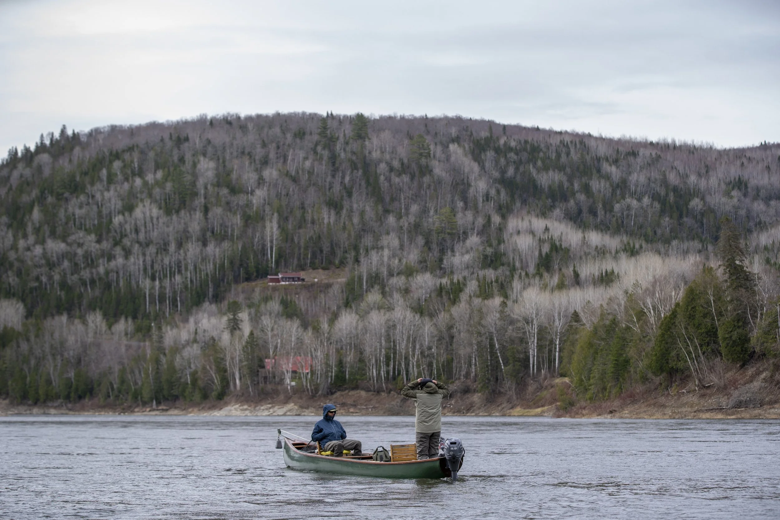 _DSC8060.jpg