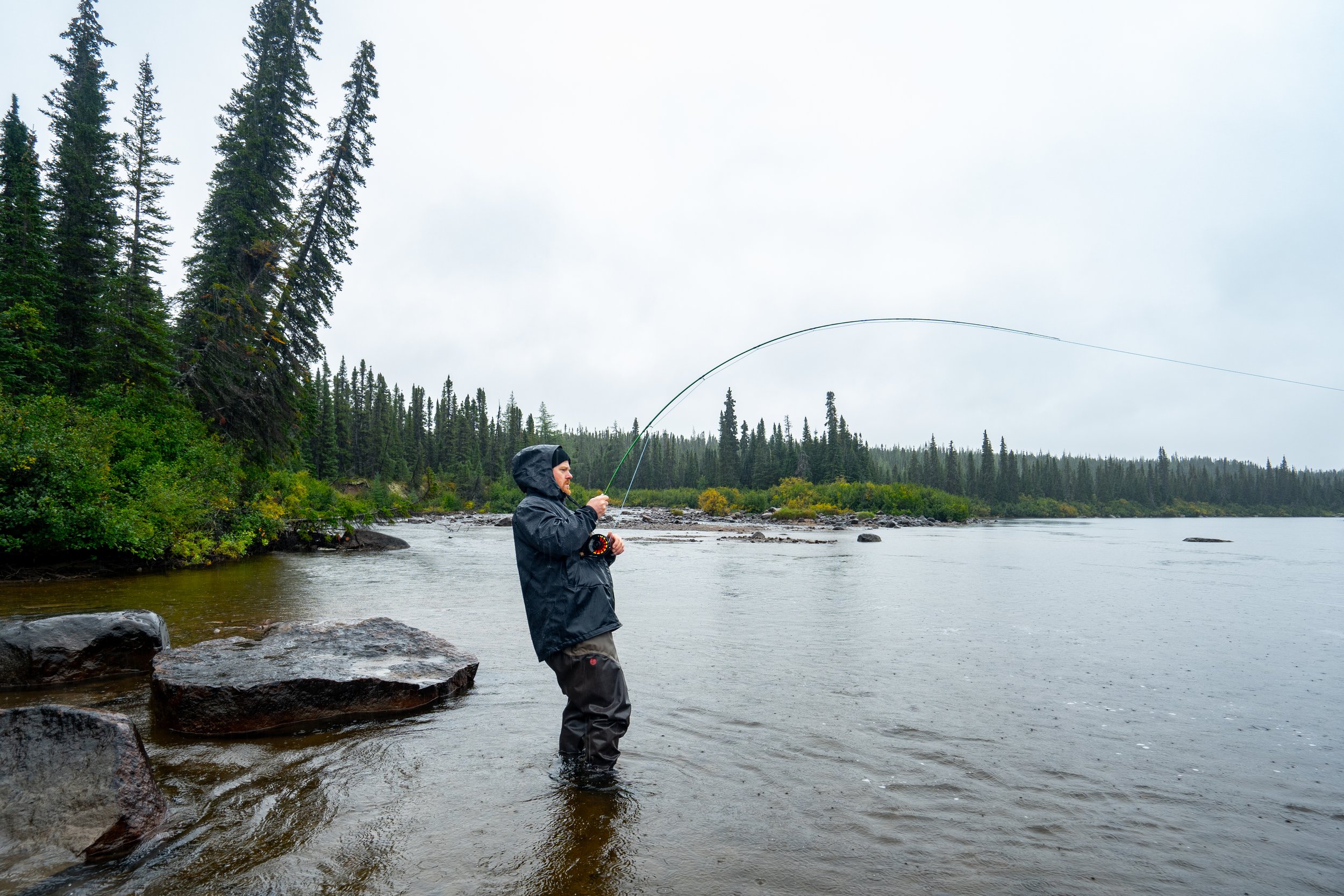 _DSC4794.jpg
