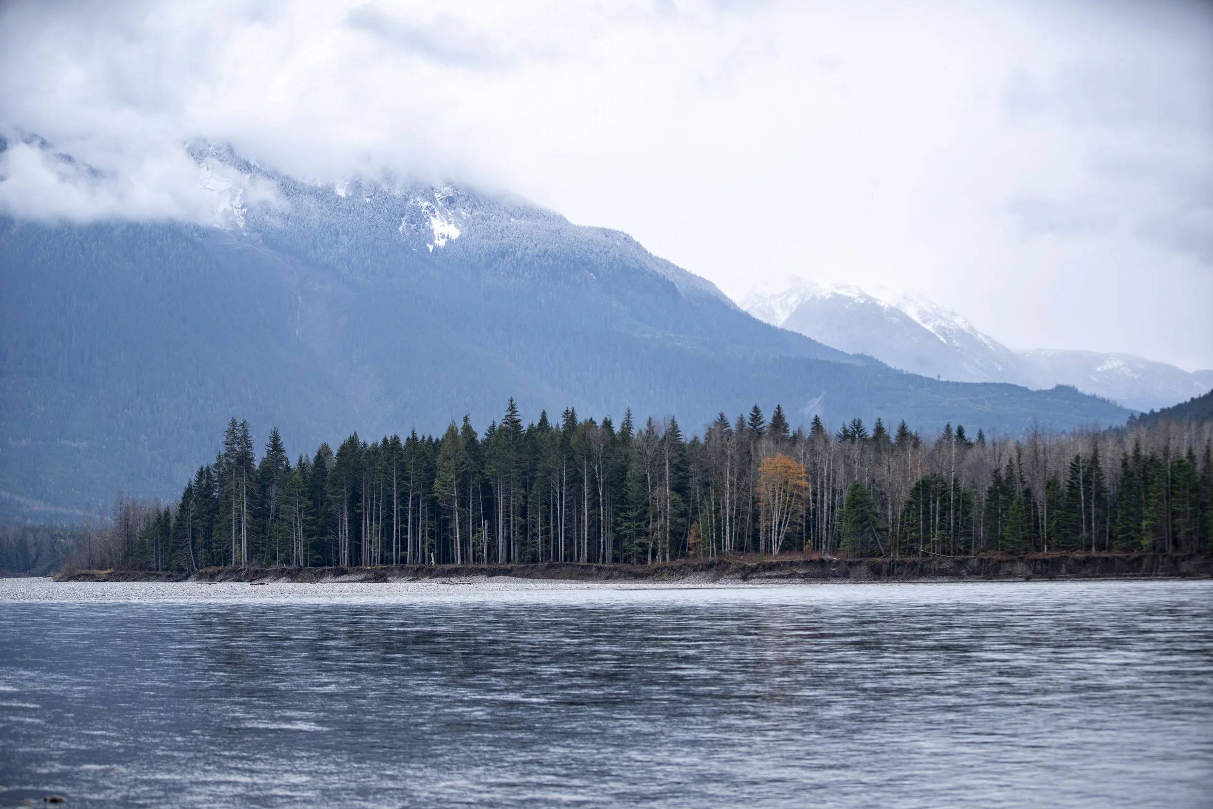 _DSC4293.jpg
