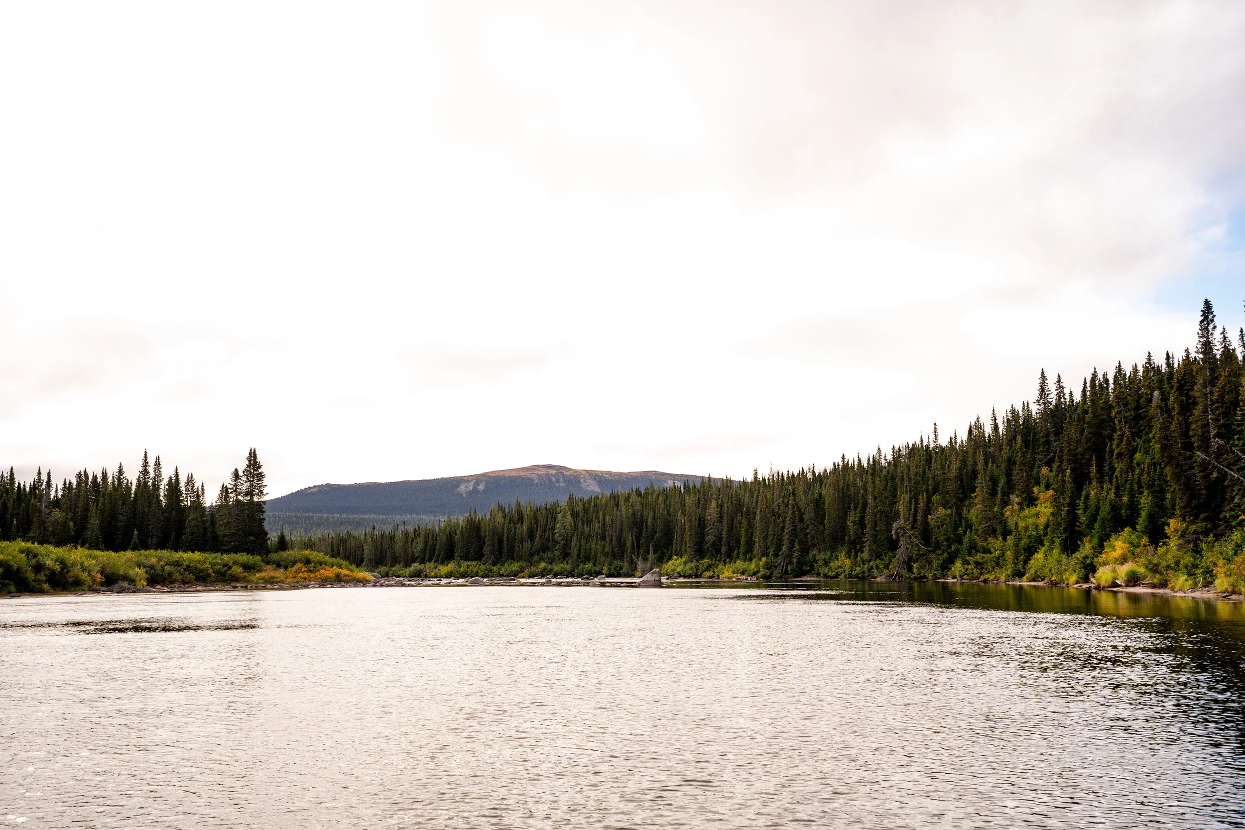 _DSC5288.jpg