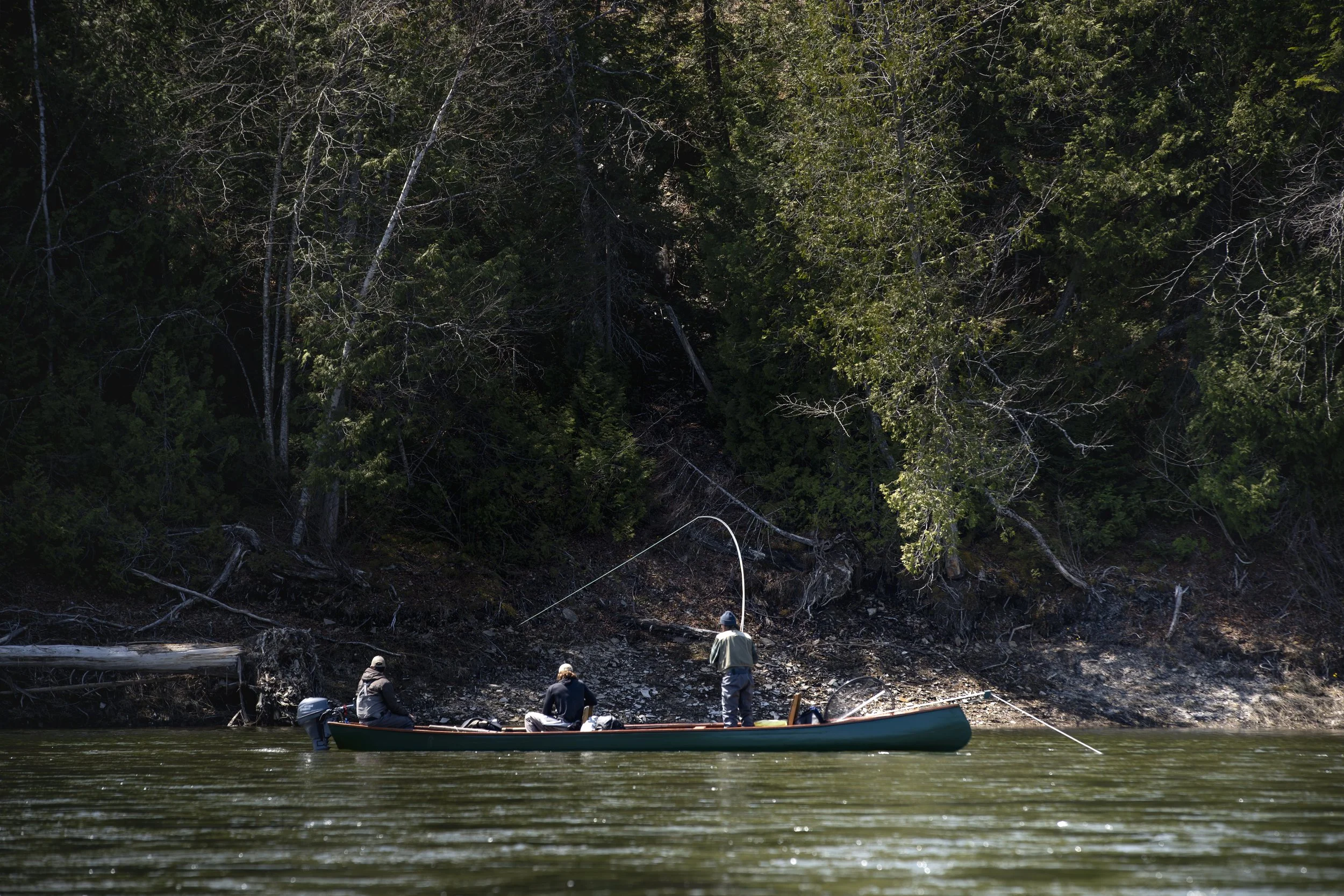 _DSC9571.jpg