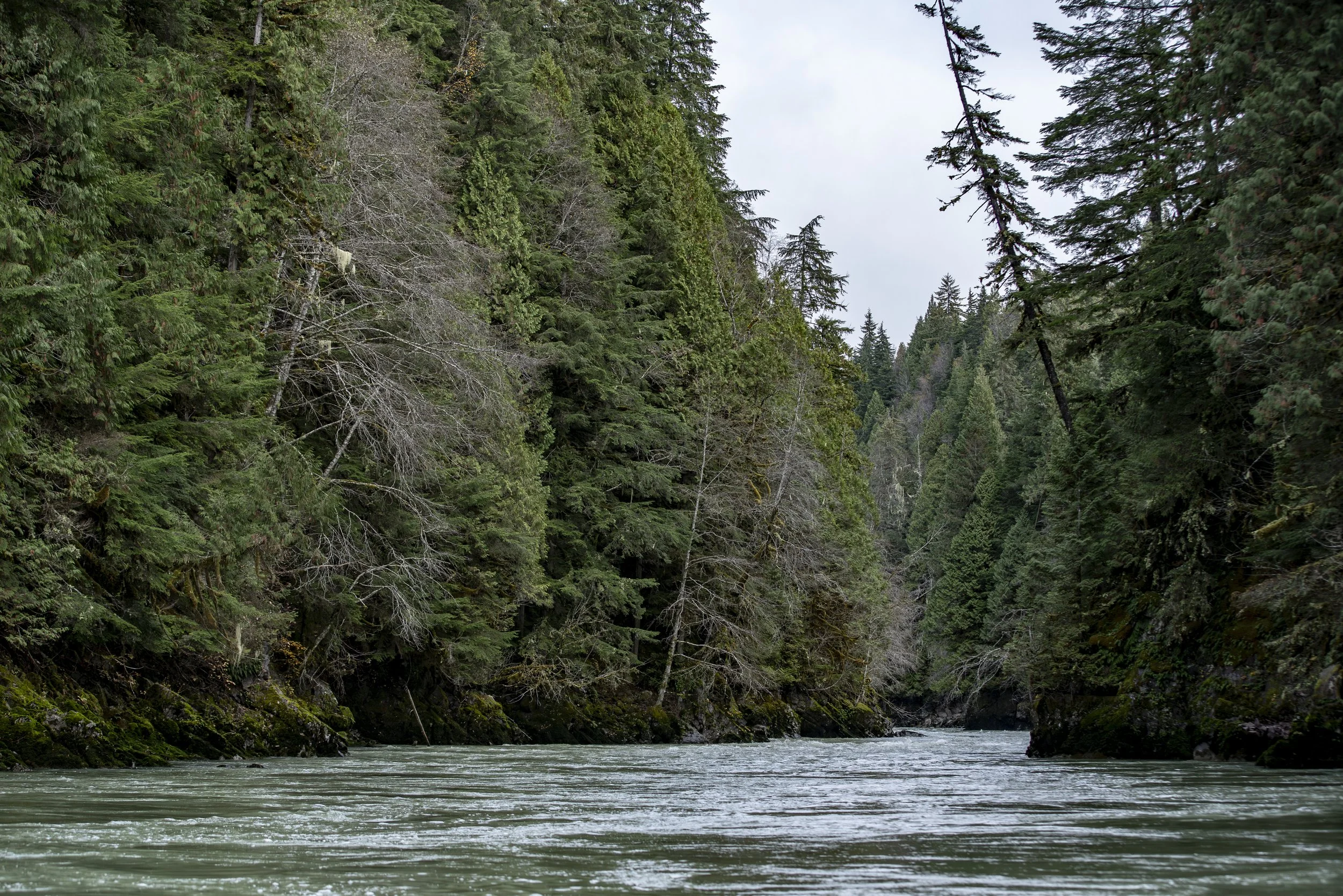 _DSC3205.jpg