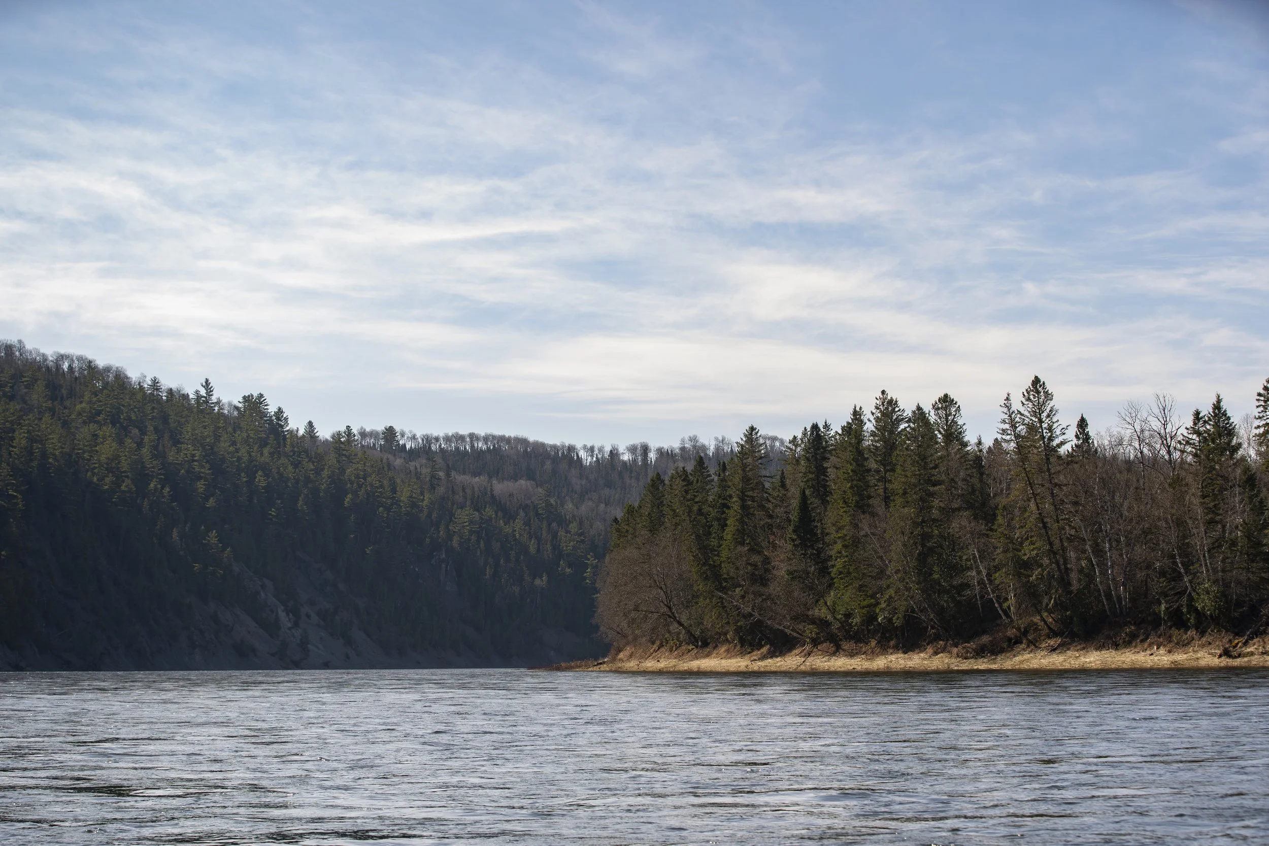 _DSC8642.jpg