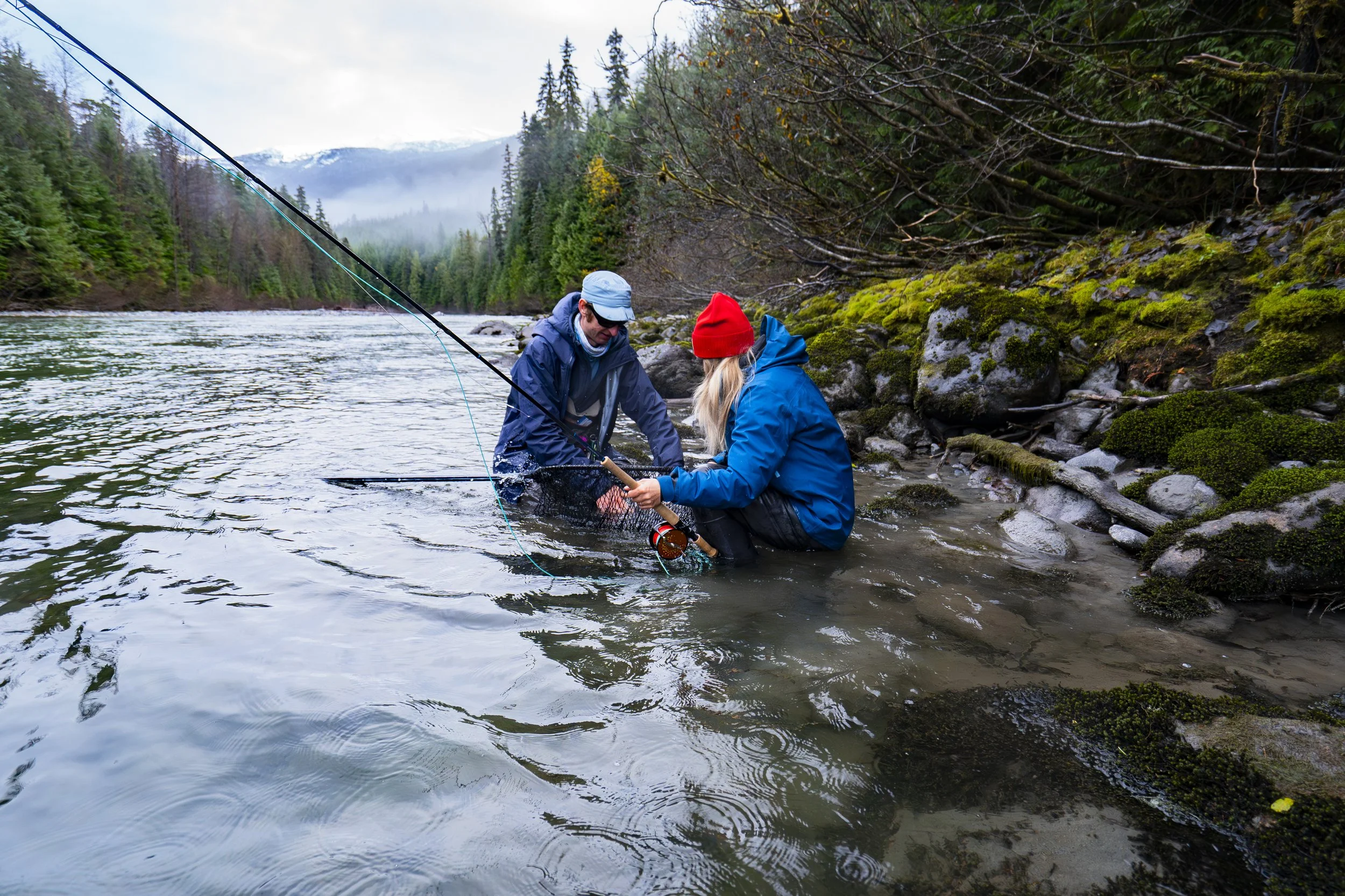 _DSC7379.jpg