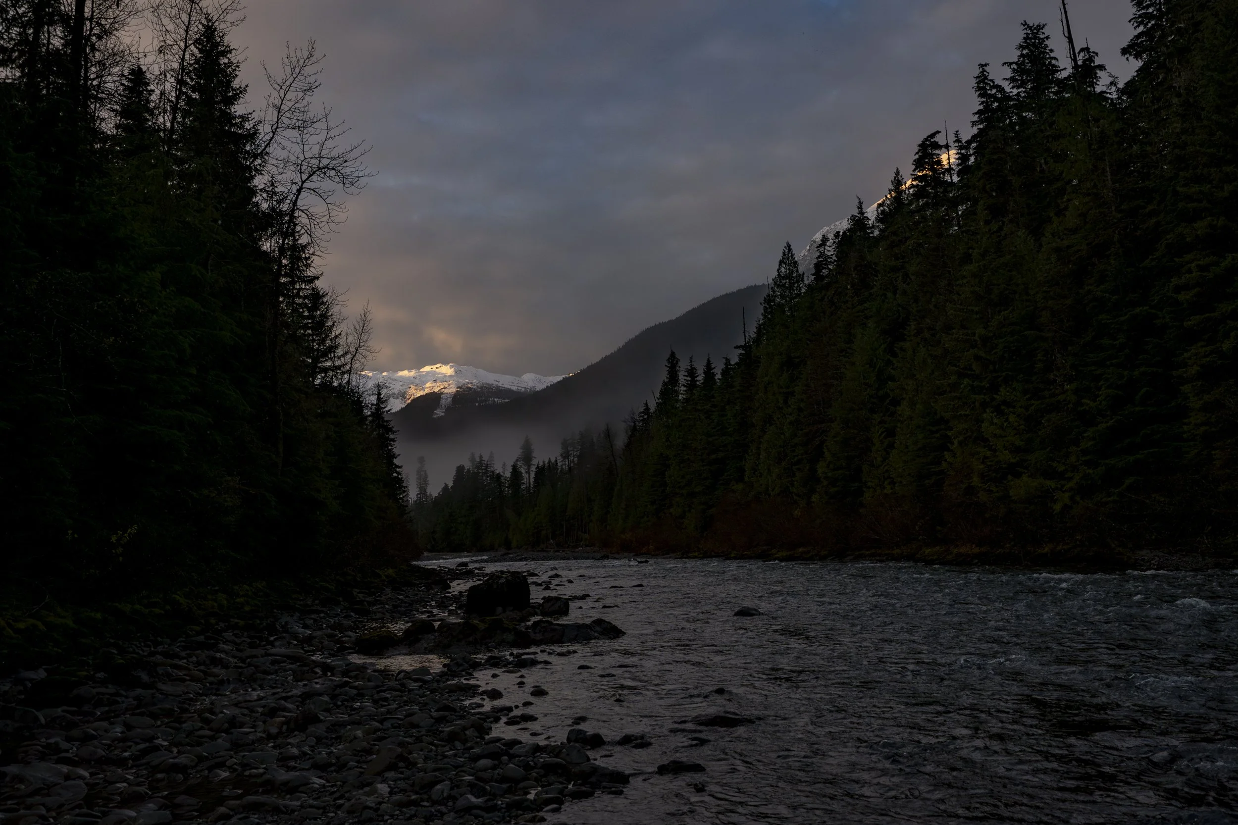 _DSC6835.jpg