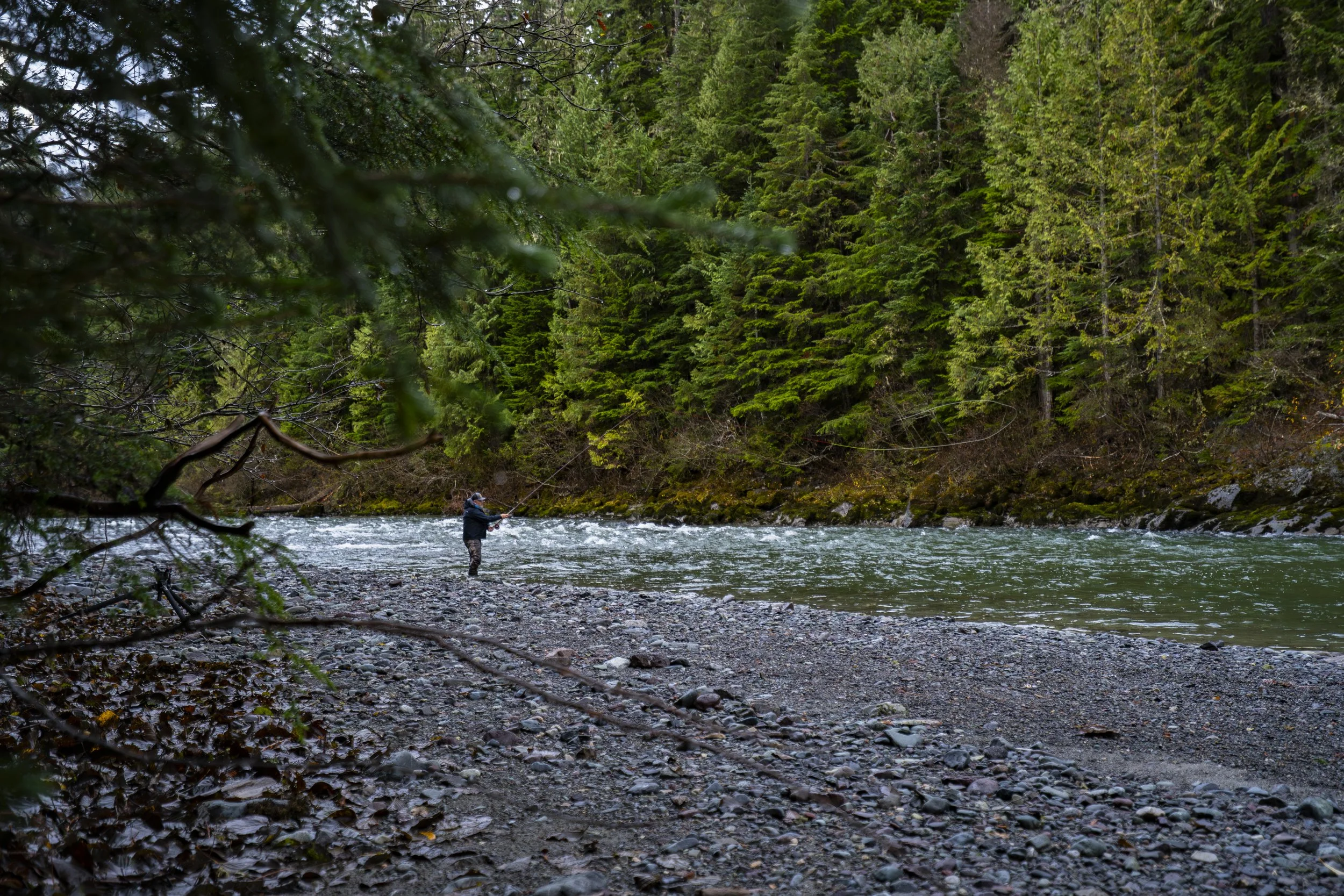 _DSC7190.jpg