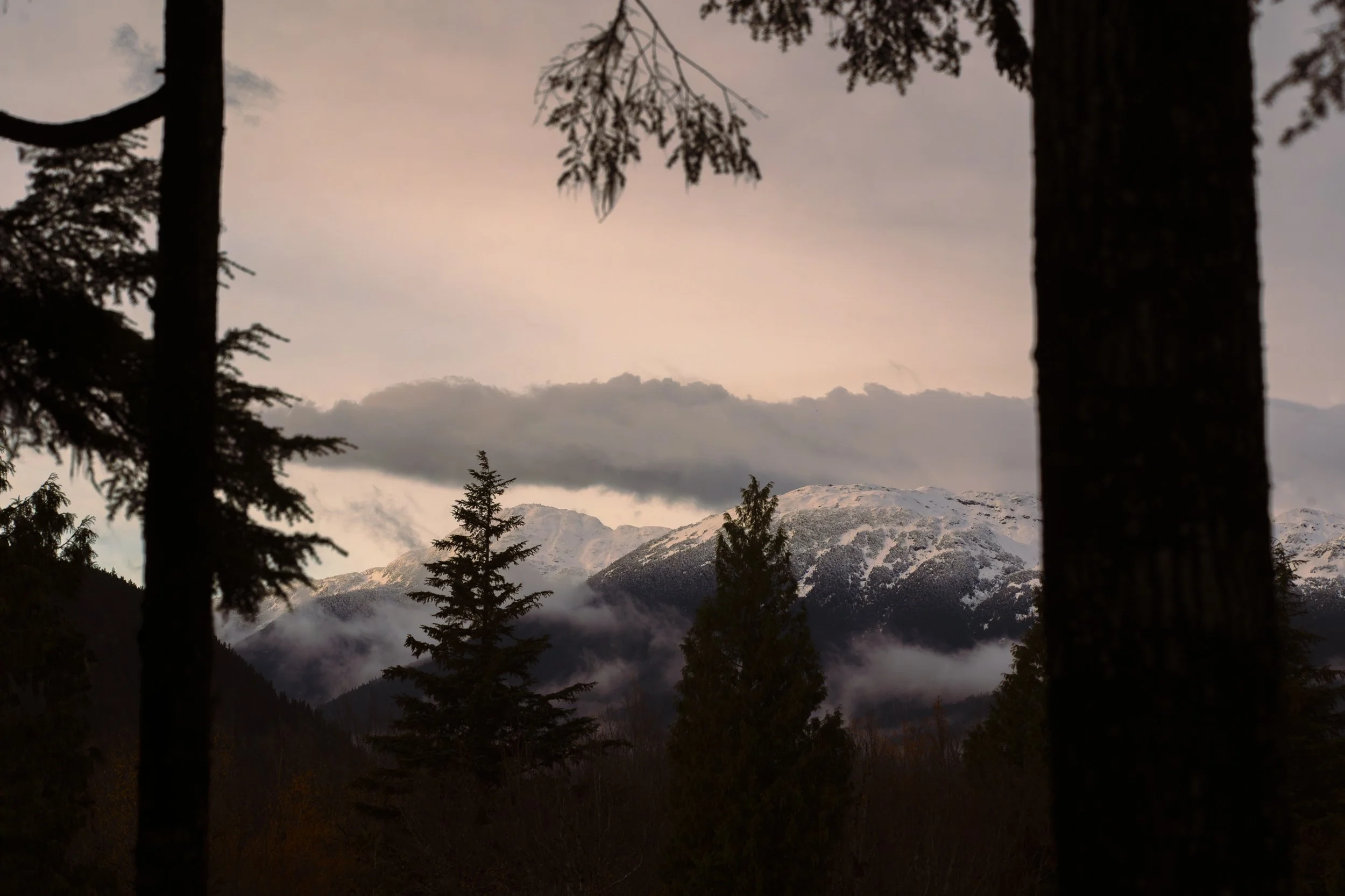 _DSC1984.jpg