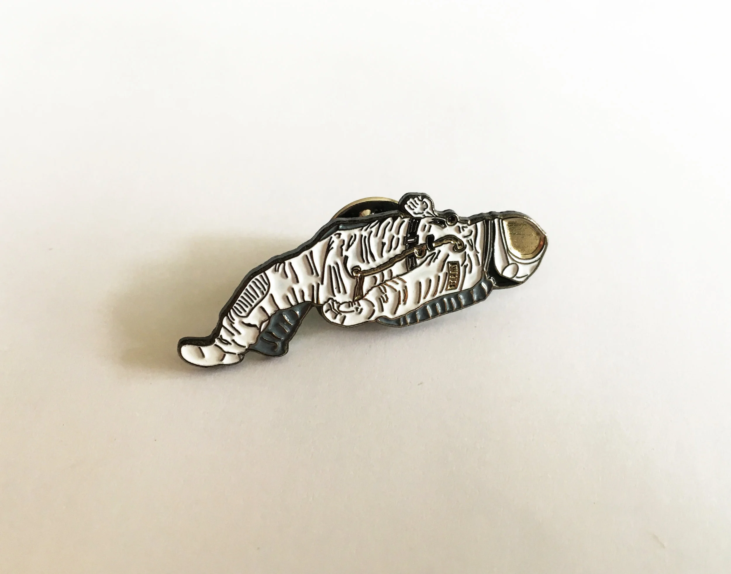 Astro Pin.jpg