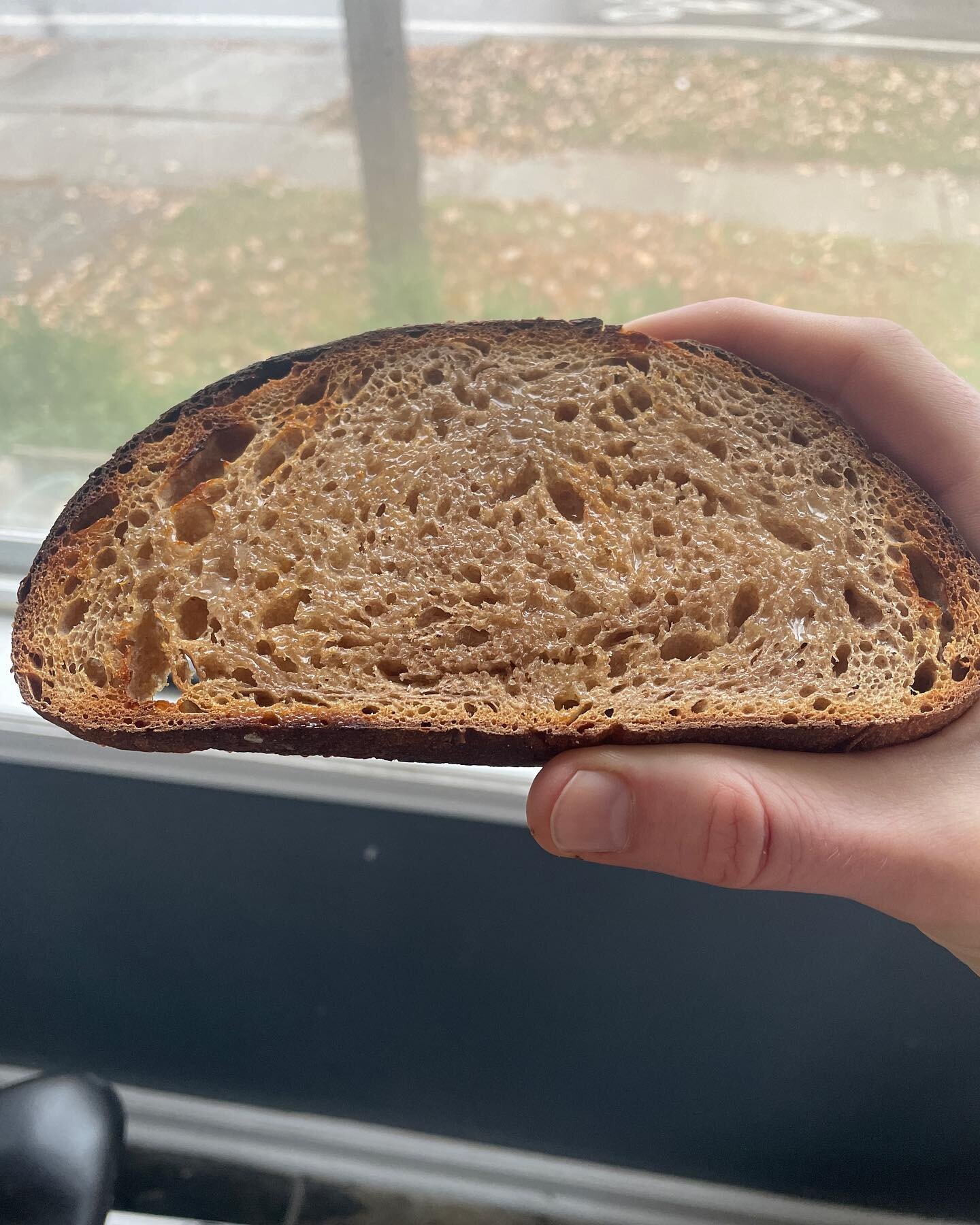 three-day old loaf, perfect for toast

this is the country bread, around 70% whole grain these days

big shout-out to @janiesmill for providing the best flour, from Illinois all the way out here in southwest Michigan. this loaf includes their spelt, 