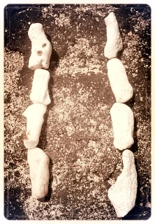 Life Path 11eleven.jpg