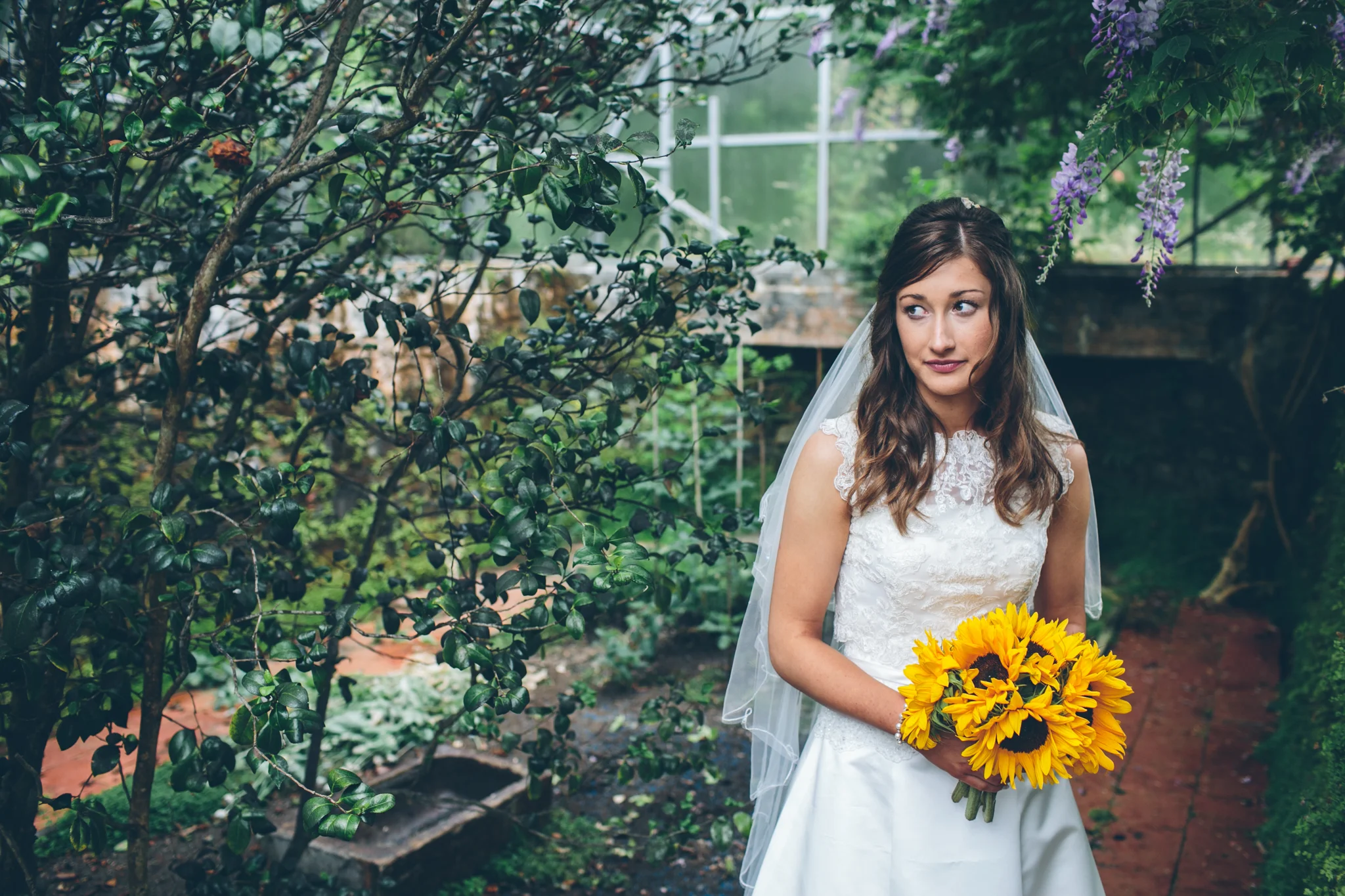 A bride in a white wedding dress holding a bouquet of sunflowers in a lush garden with green foliage and purple flowers overhead. Larchfield Estate.