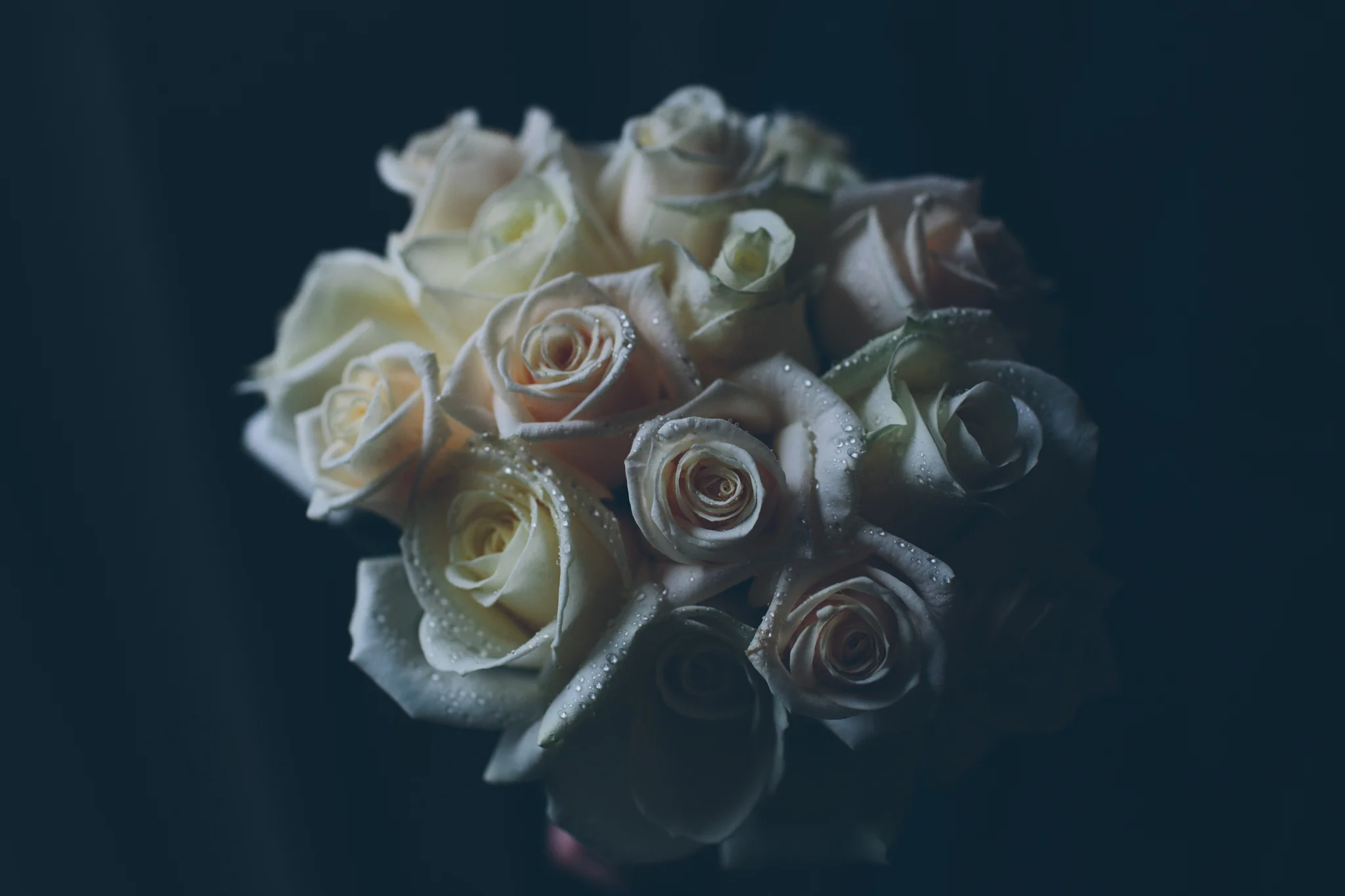 A bouquet of white roses with water droplets on the petals.