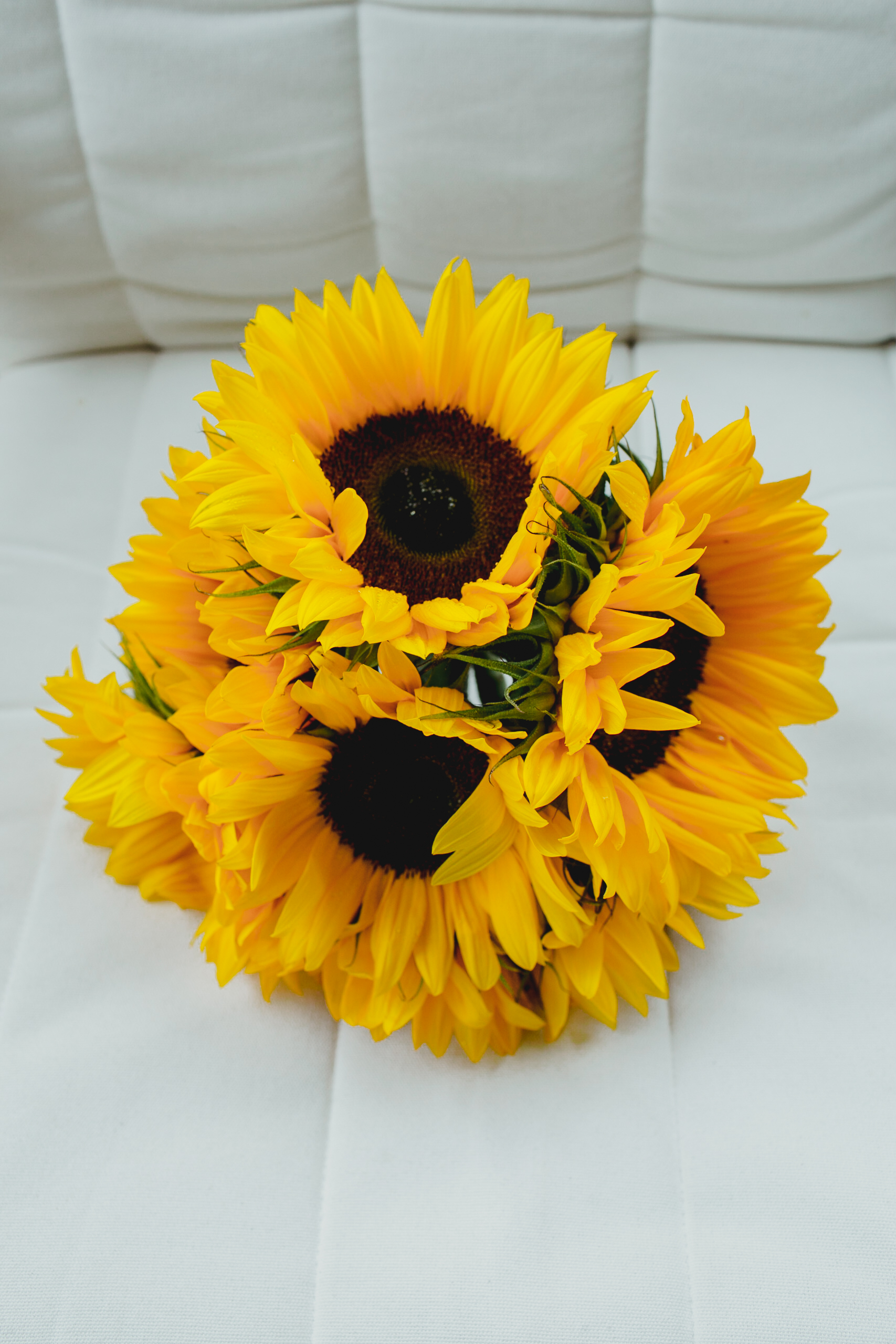 A bouquet of sunflowers with vibrant yellow petals and dark centers, placed on a white cushioned surface.