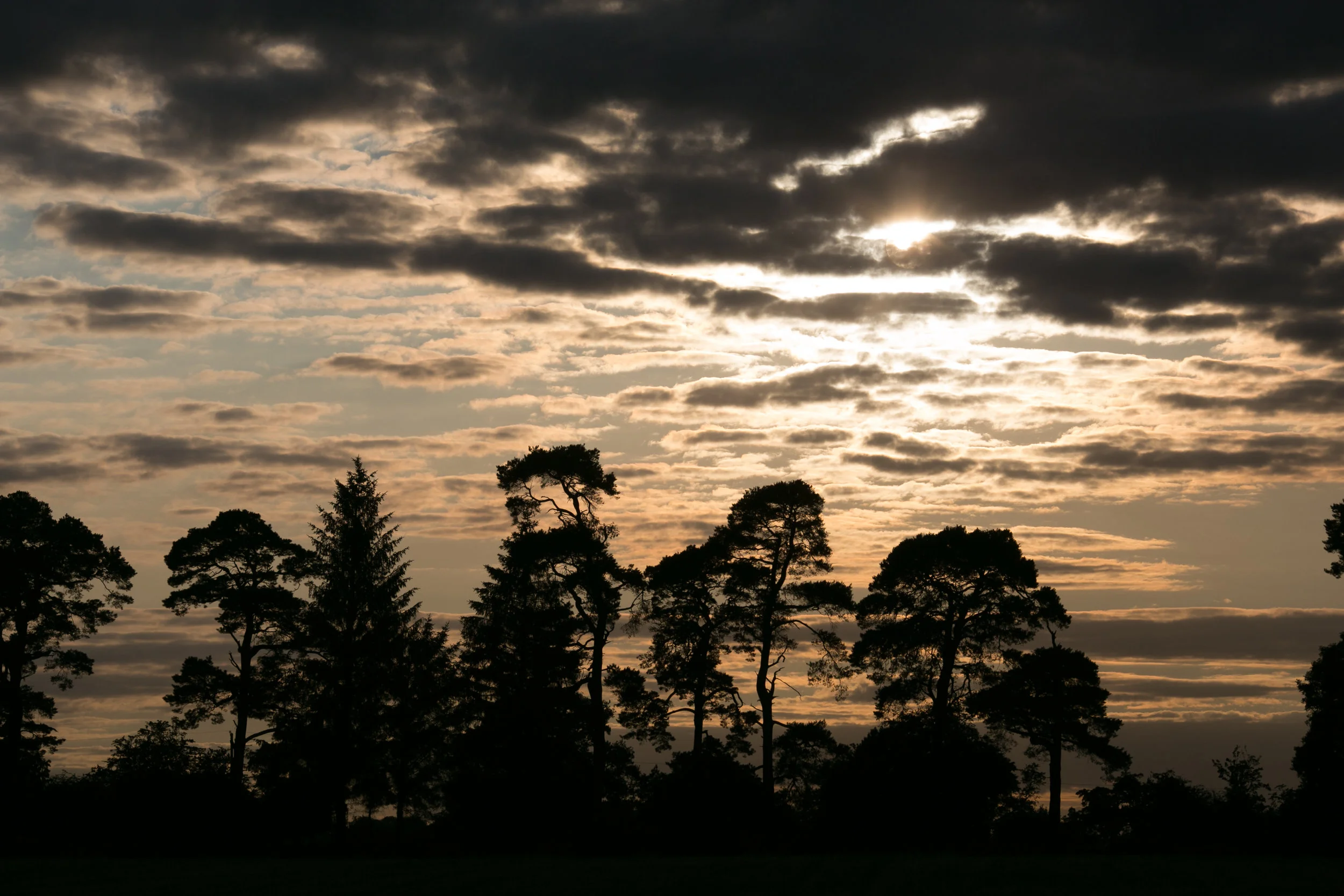 a walk to the pub (4 of 28).jpg