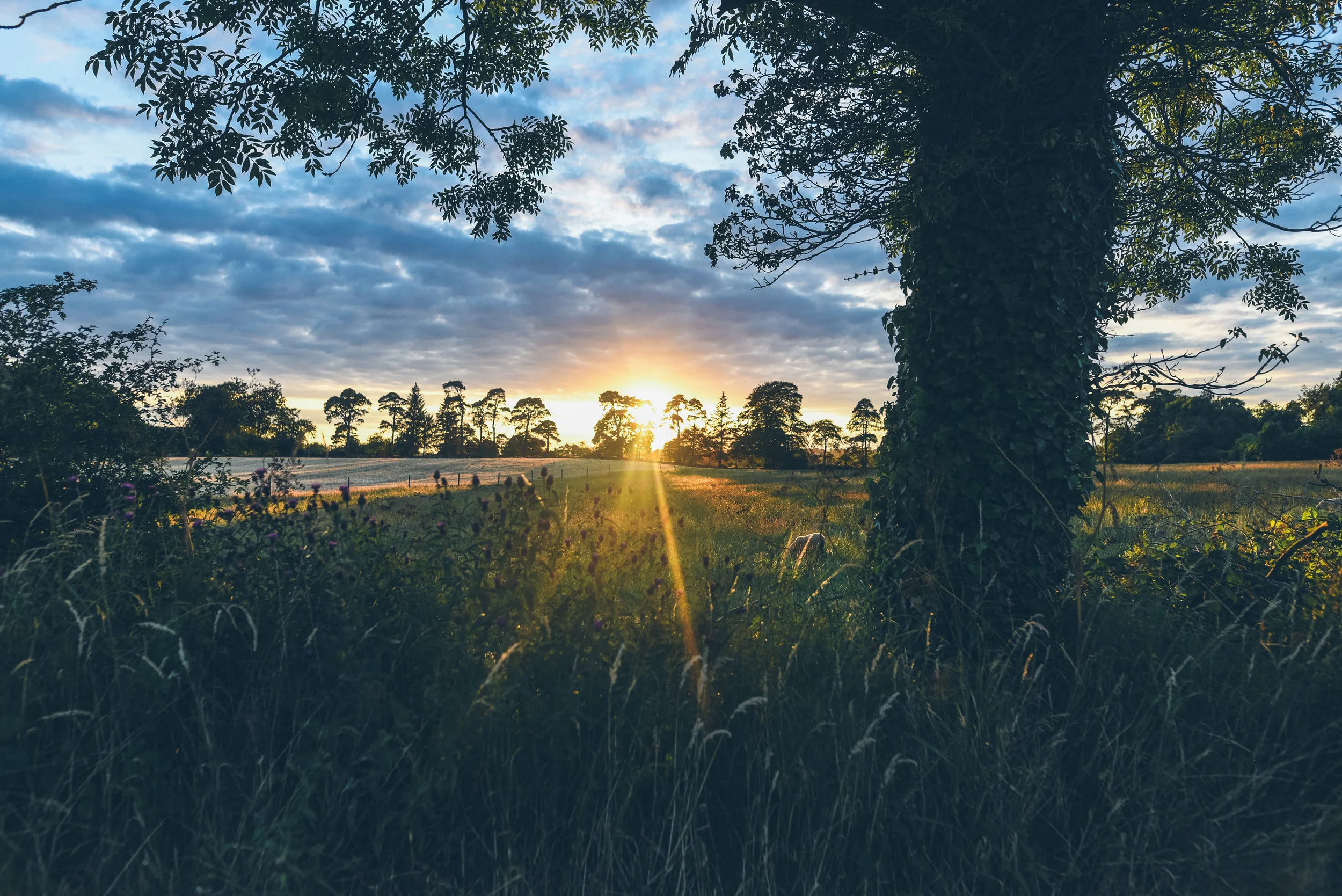 a walk to the pub (19 of 28).jpg