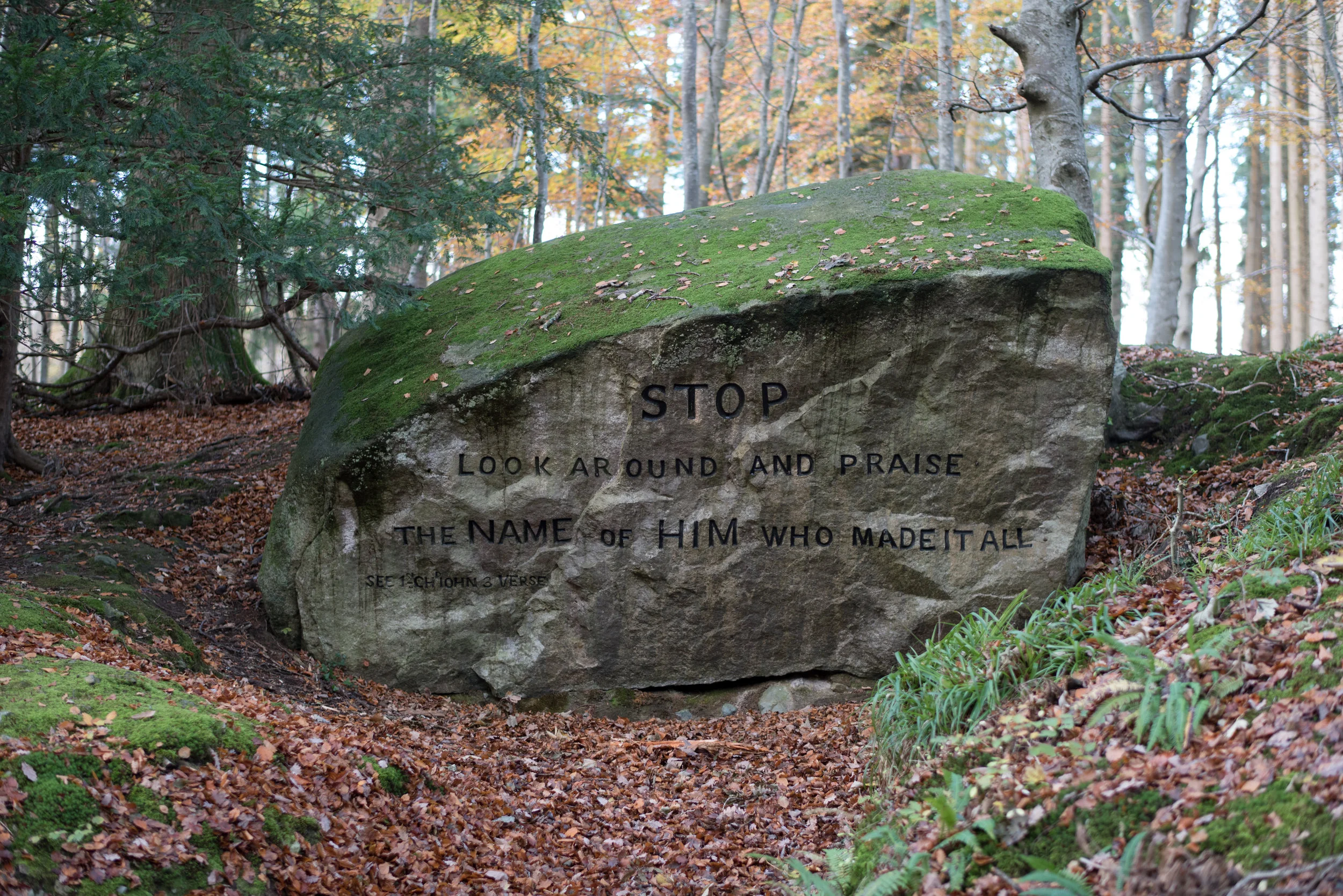 A large moss-covered boulder in a wooded forest with an engraved biblical quote from 1 John 3:3.