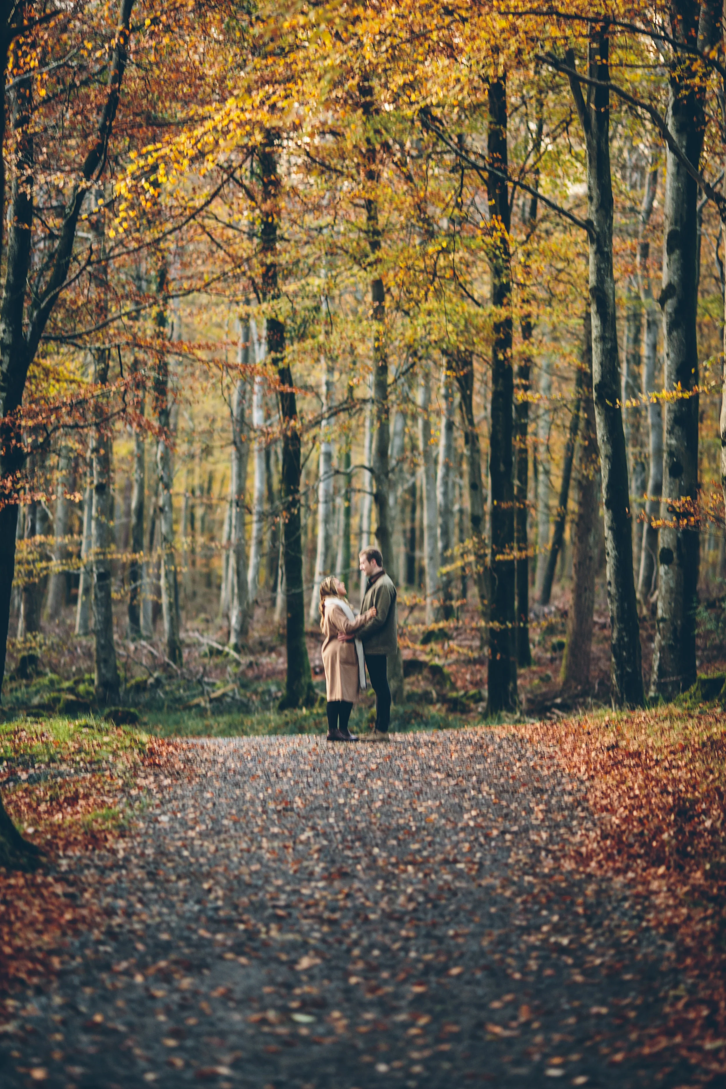 A couple standing on a forest path surrounded by autumn trees with orange and yellow leaves, holding hands and facing each other.