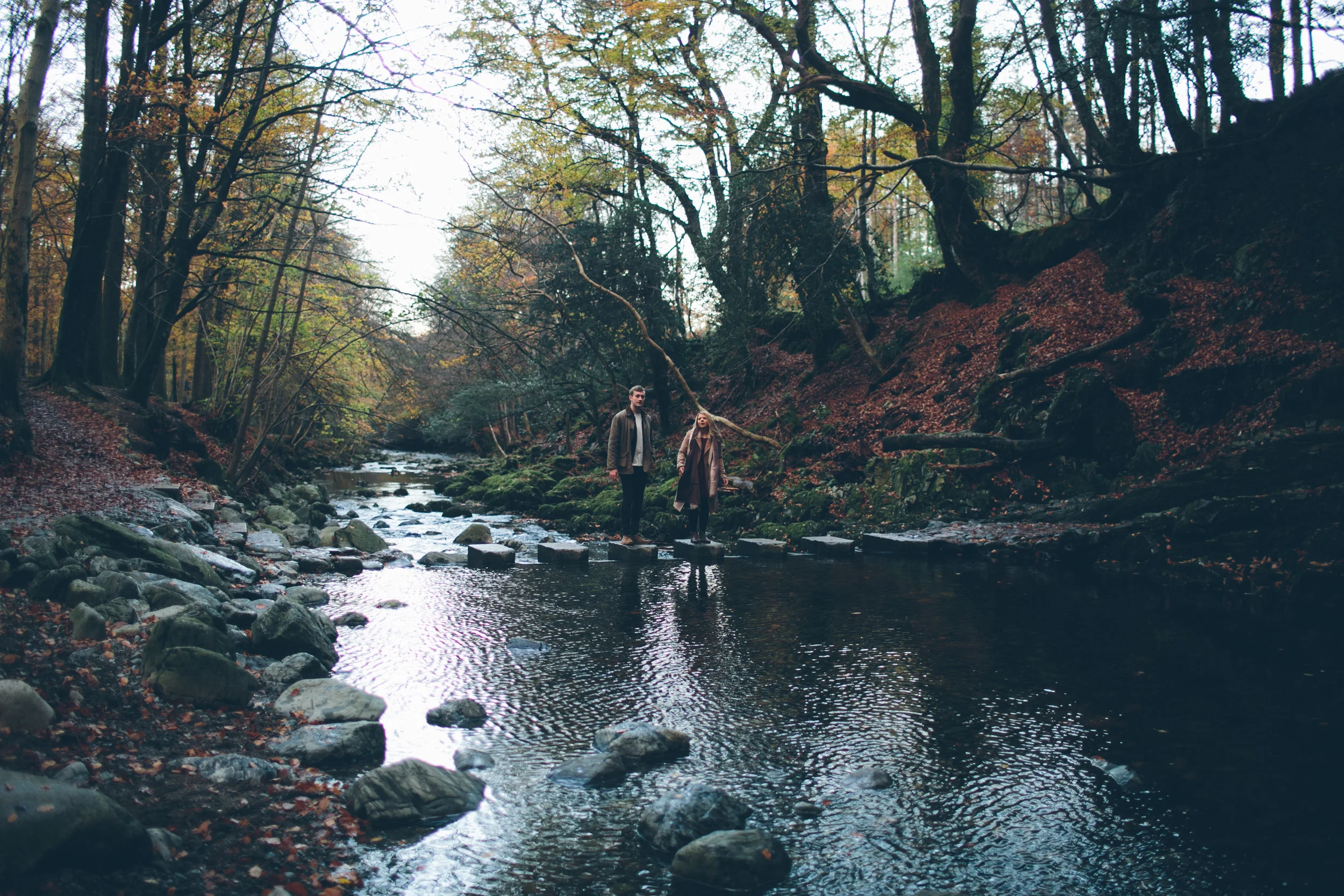 A couple walks on stepping stones across a creek in a forest during autumn, with trees displaying fall foliage surrounding them.