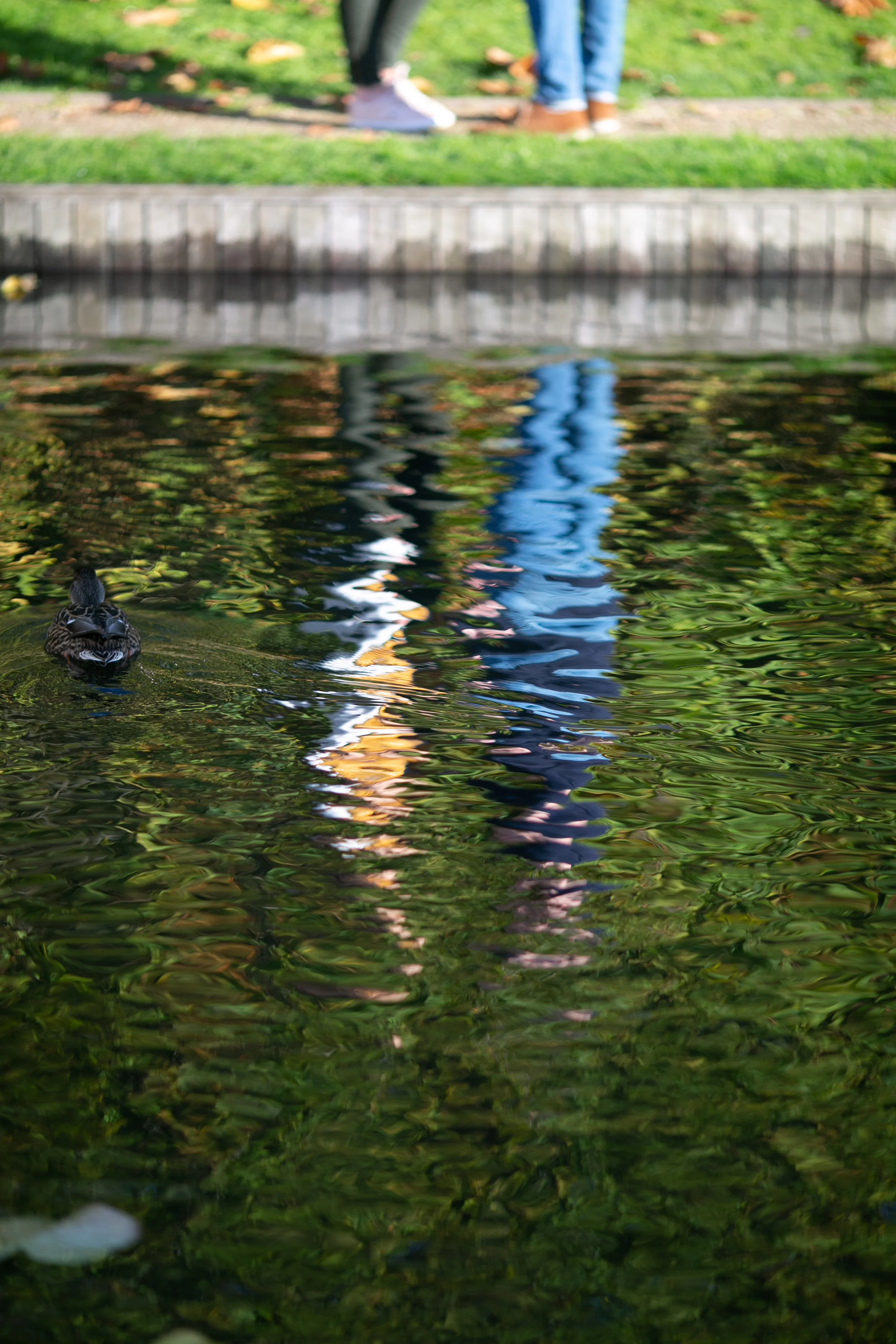 Reflection of people standing near a pond with a duck swimming in the water