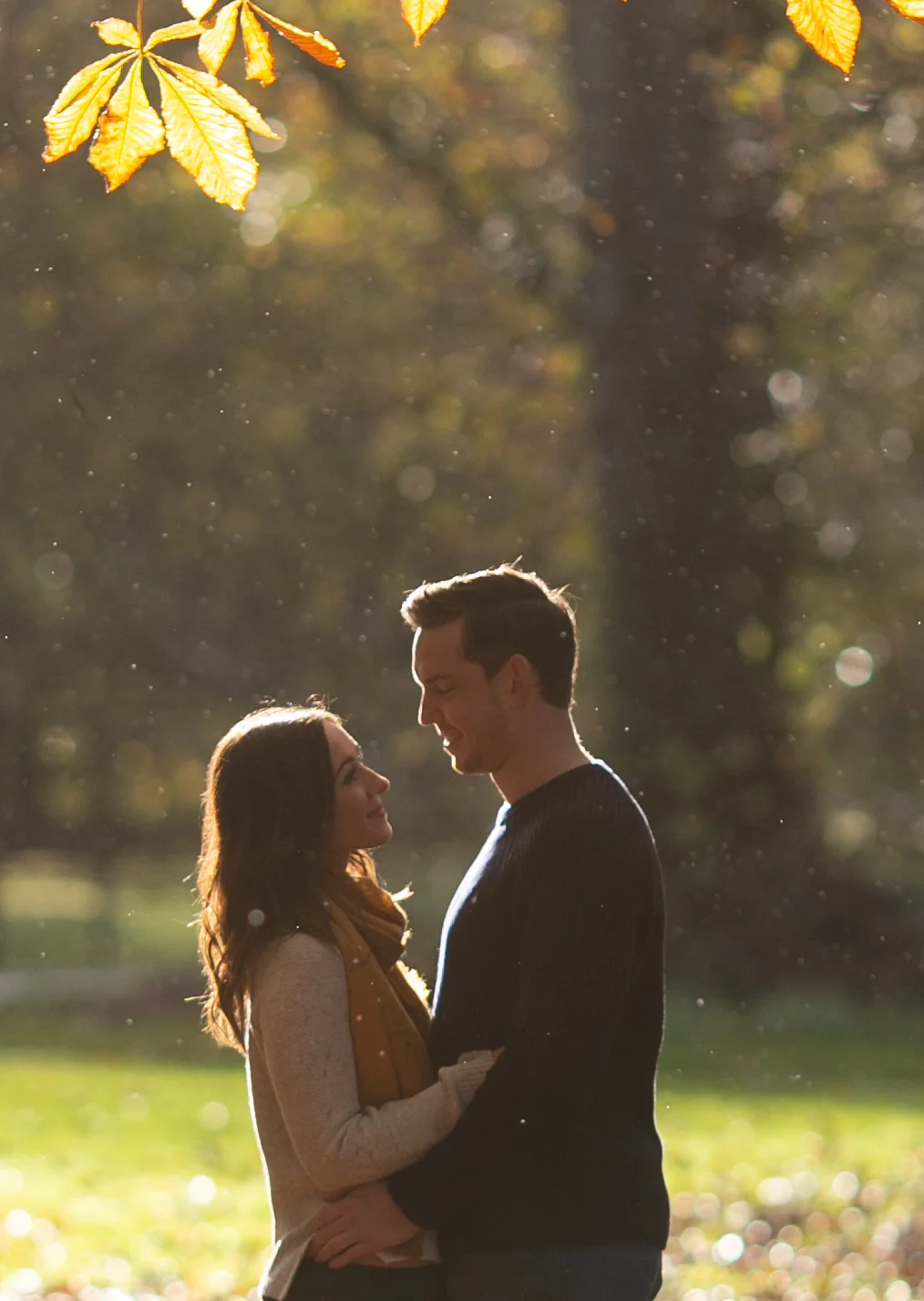 A couple standing close together outdoors in a park, illuminated by warm sunlight, with autumn leaves hanging overhead and a blurred background of trees and grass. Antrim Castle Gardens