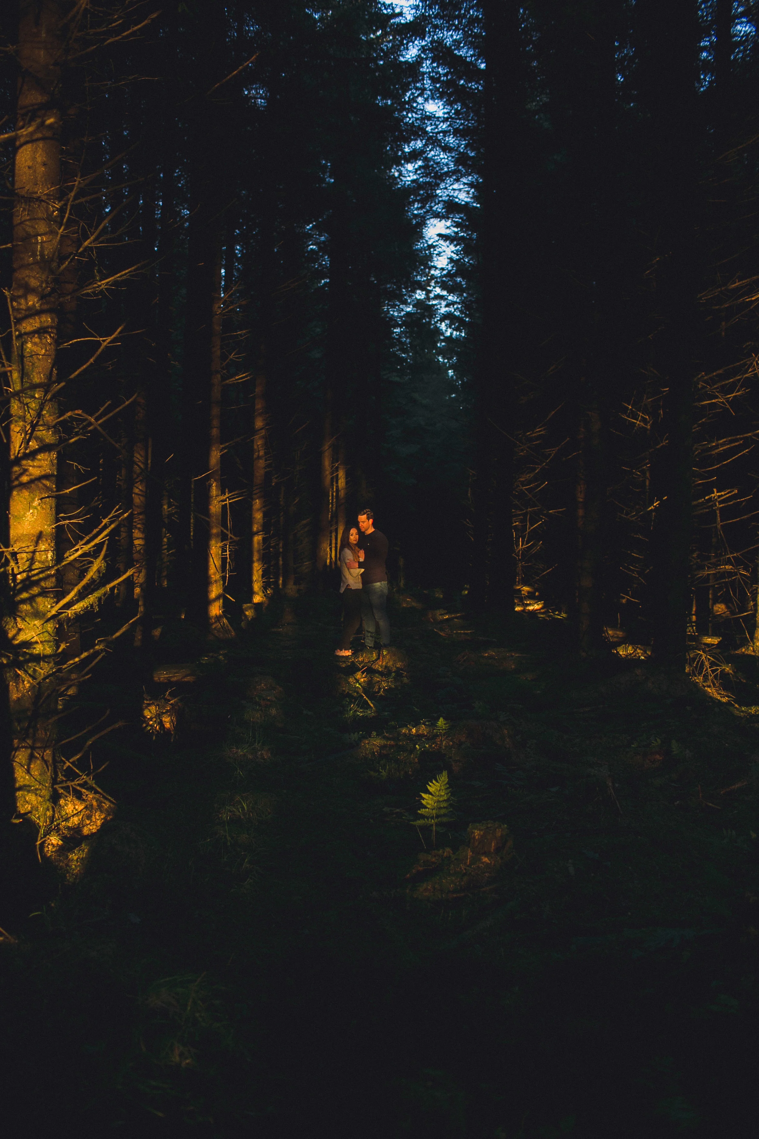 A couple standing together in a narrow forest path illuminated by warm lights, surrounded by tall trees at dusk or nighttime.