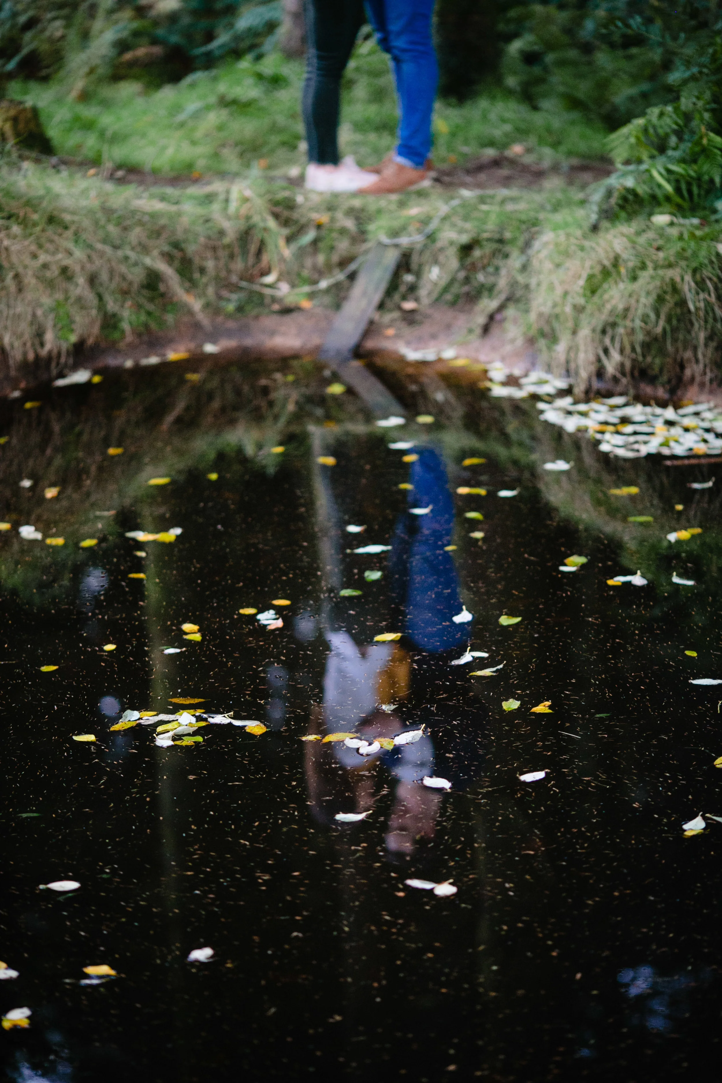 People standing on a grassy bank near a reflective pond with floating leaves and a wooden plank bridge.