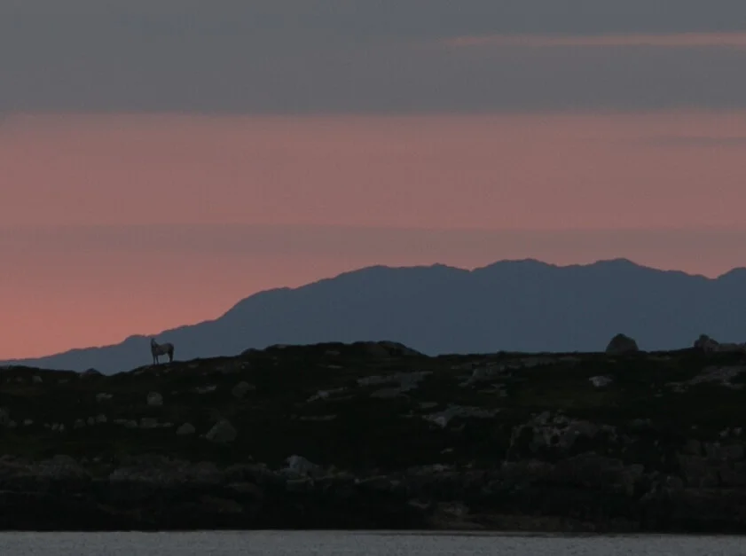 Living deeper in the moment